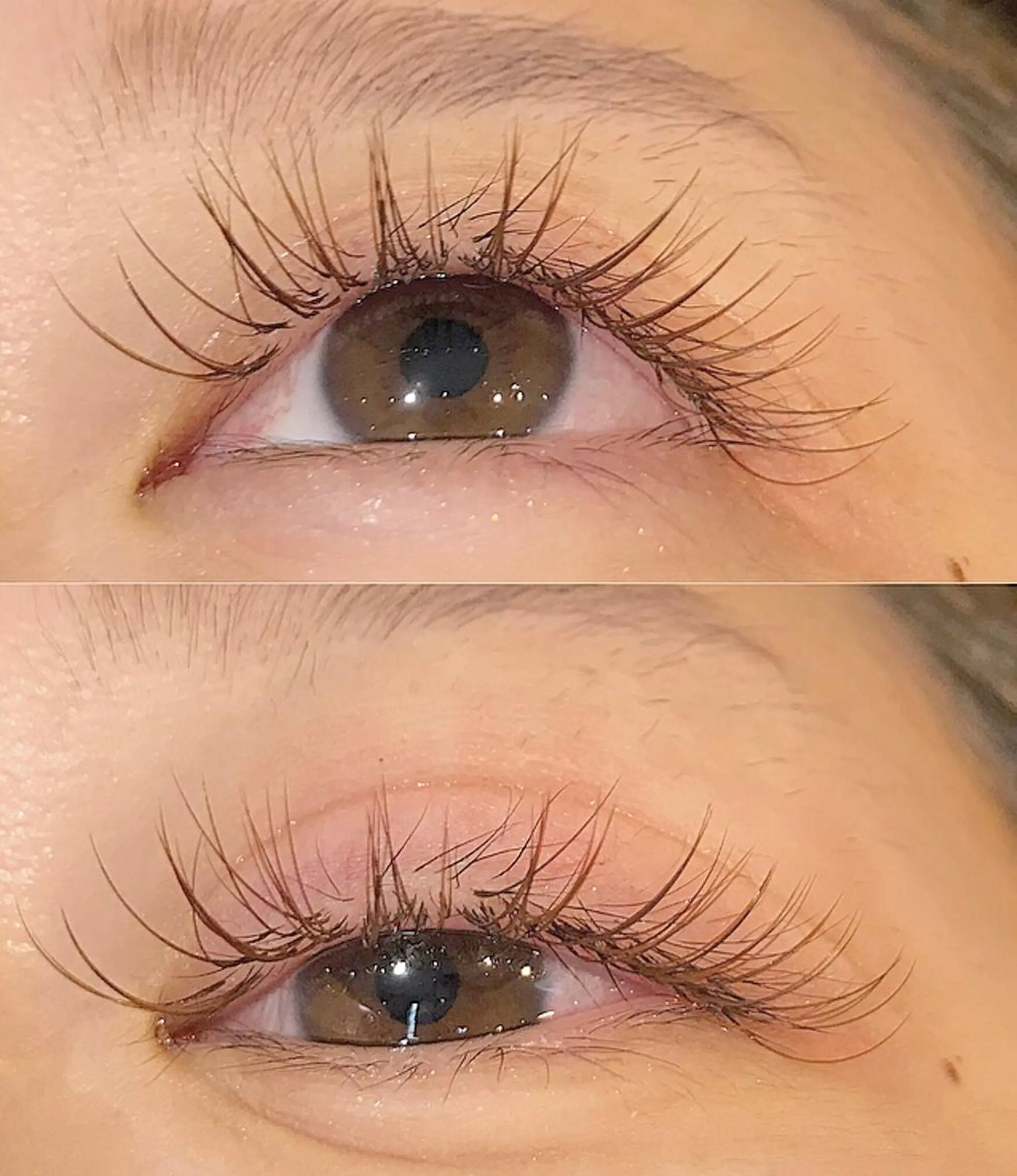 マツエク・マツパ カラーマツエク Aya 🖤Be__ 中目黒のマツエク・マツパデザイン