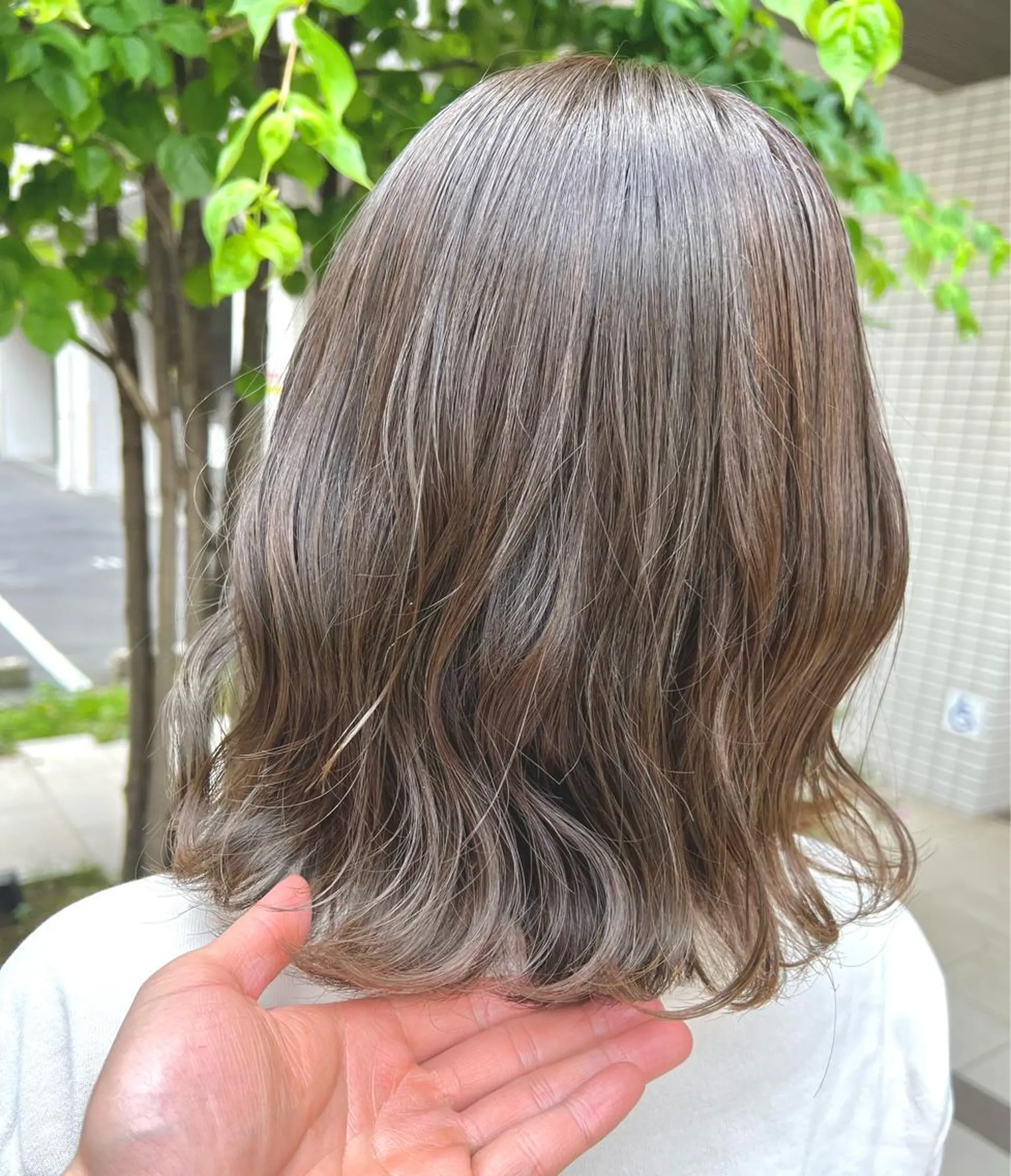 ショート カラー グレージュ 💎透明感カラー特化 💎TAISEIのヘアスタイル