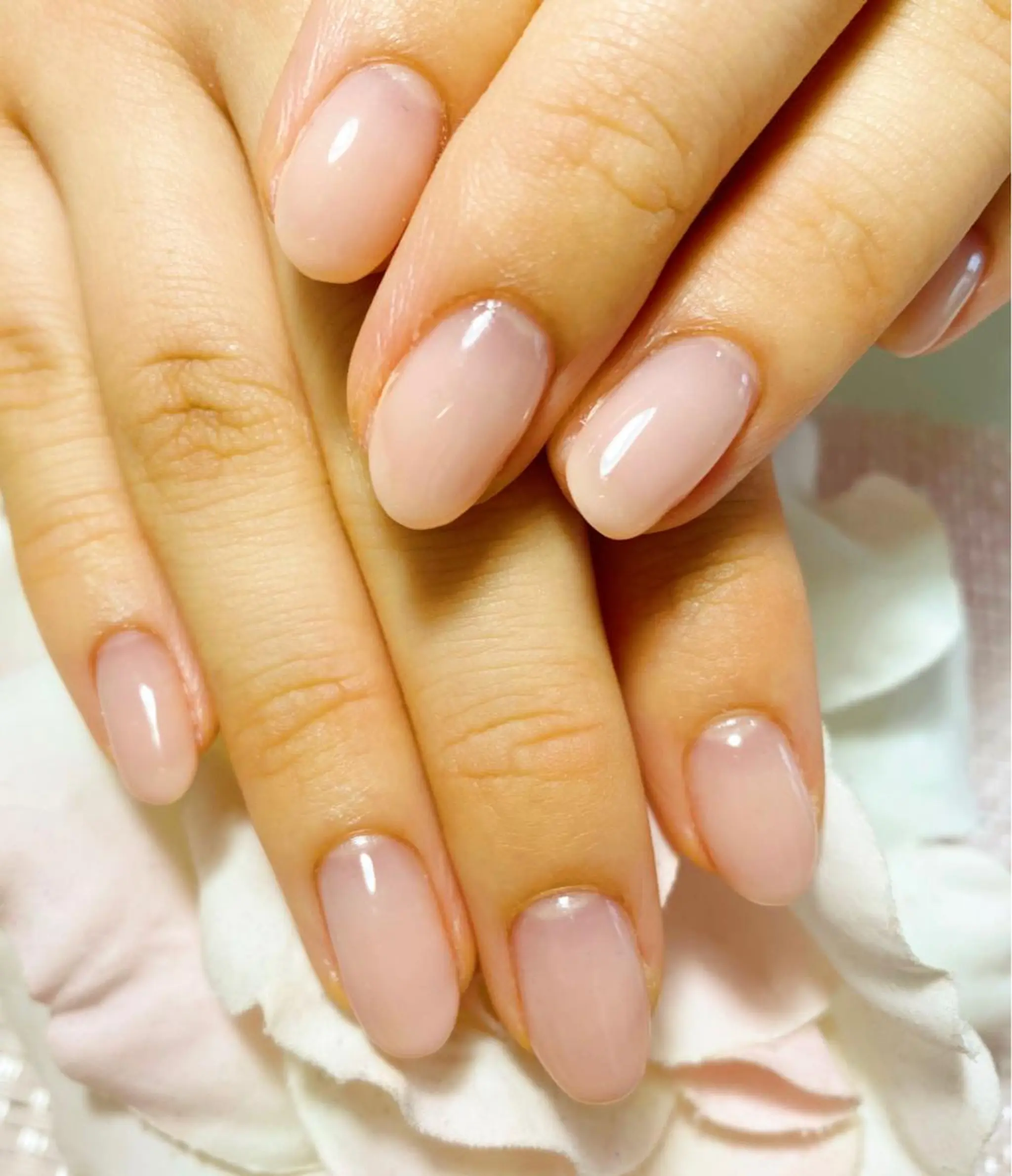 ネイル ジェルネイル グラデーション プティリボン 武蔵小金井店のネイルデザイン