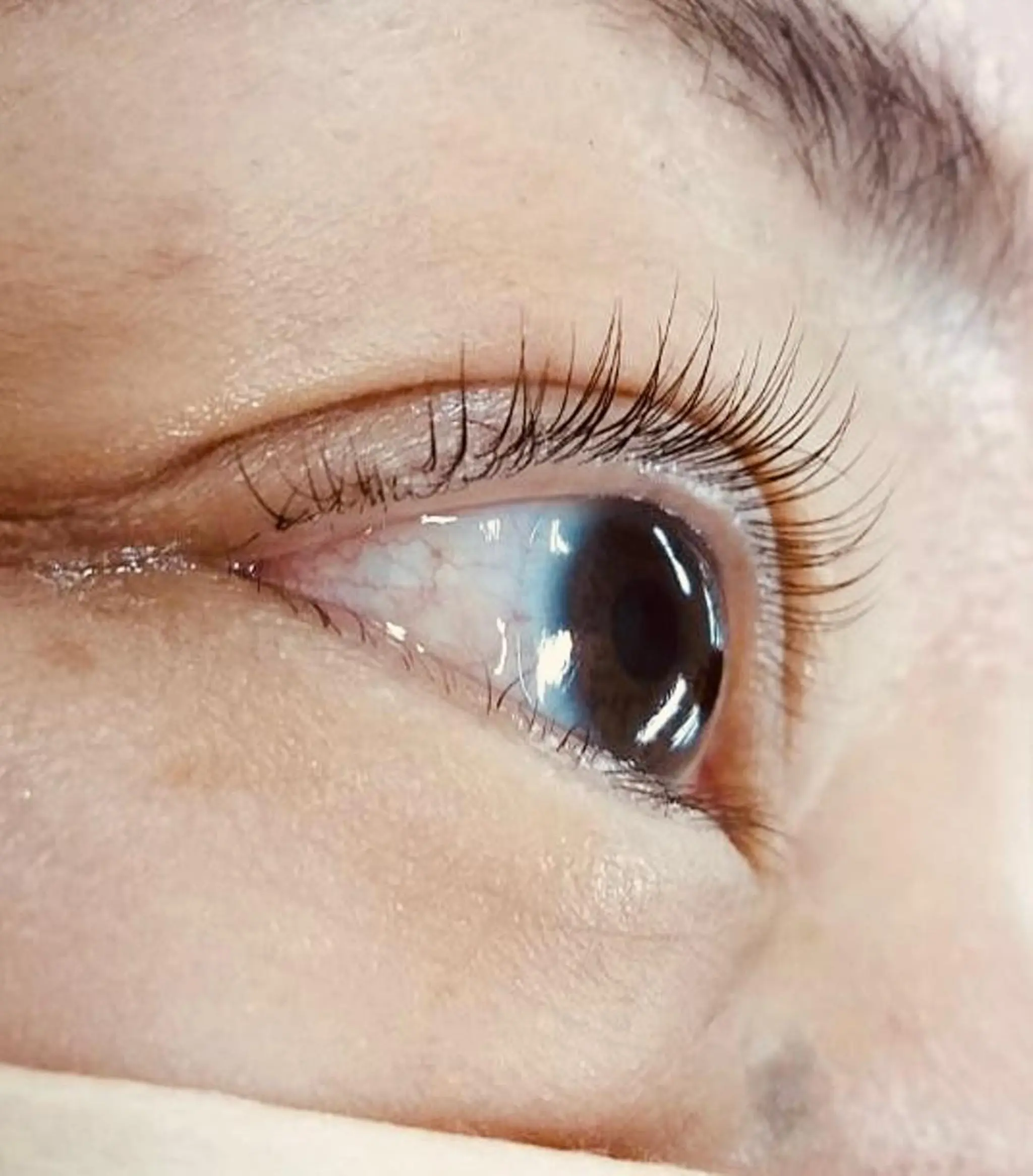 マツエク・マツパ パリジェンヌラッシュリフト マツパ Sifa eyelashのマツエク・マツパデザイン