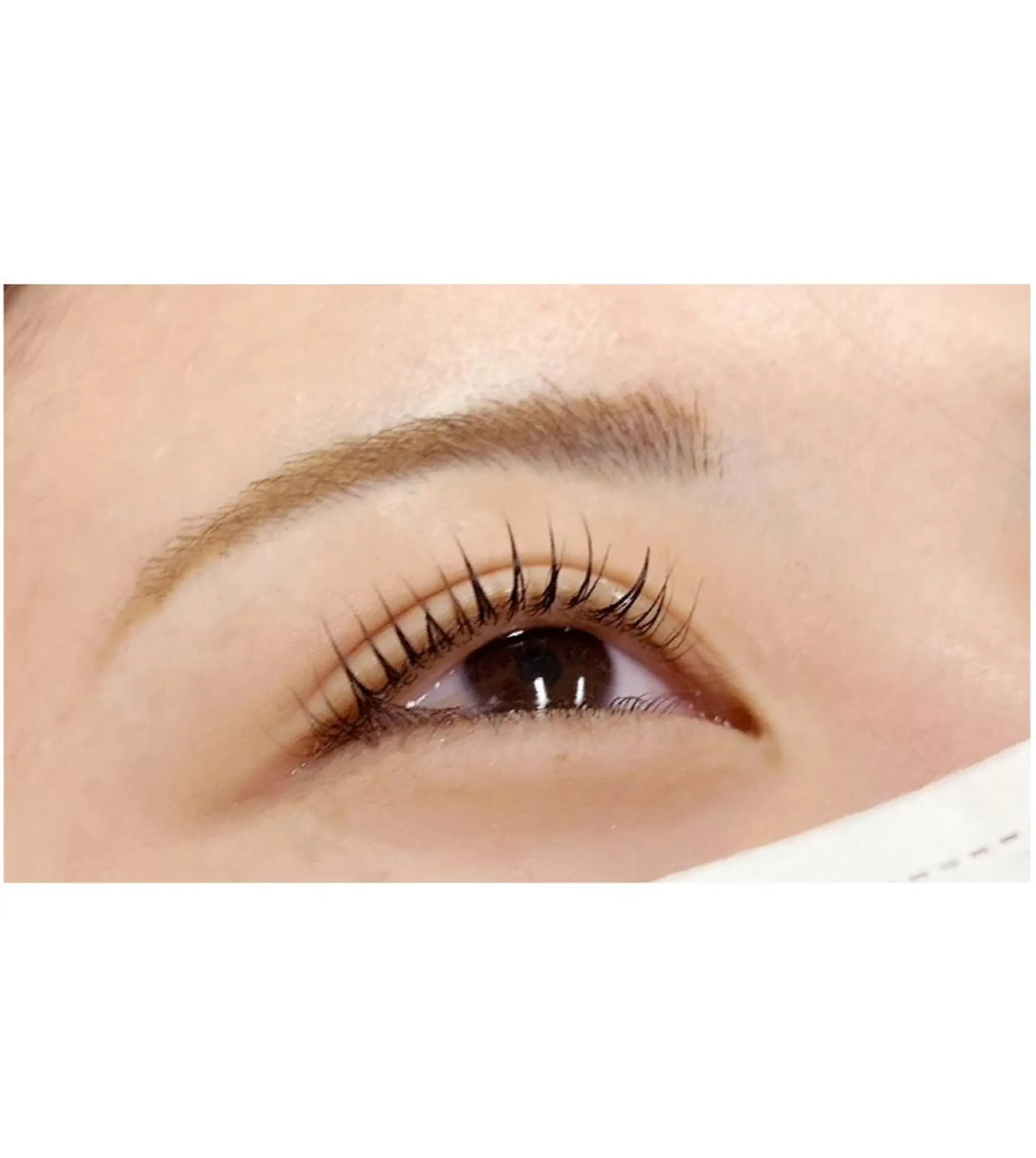 マツエク・マツパ まつげパーマ Adorer 🍀アドレ🍀のマツエク・マツパデザイン