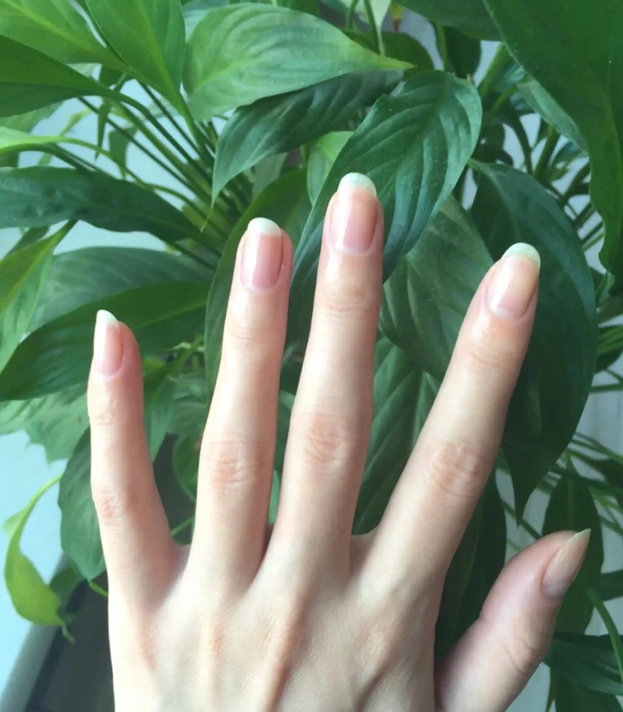 ネイル ラベンダー💖日暮里 ルル💖ネイルのネイルデザイン