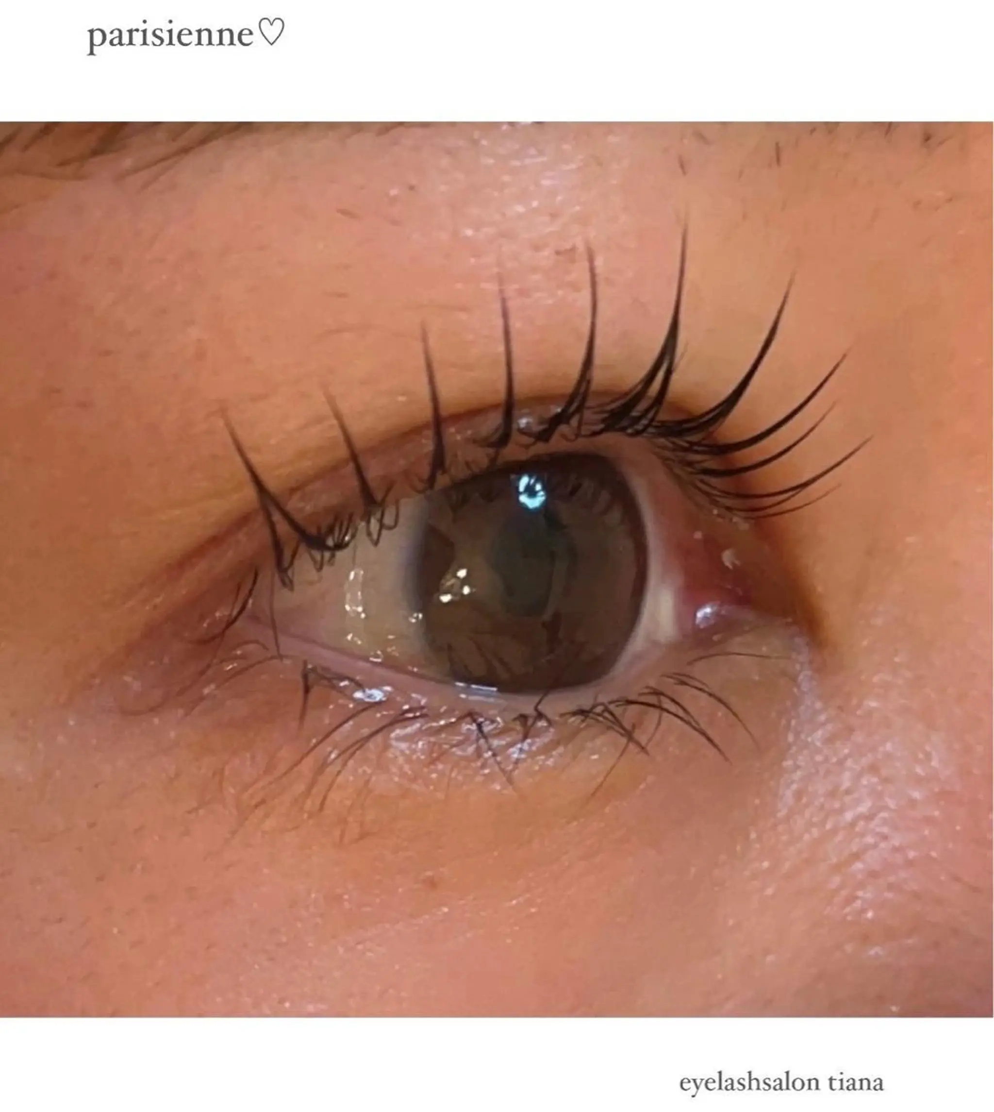 マツエク・マツパ パリジェンヌラッシュリフト マツエク ♡tiana juna˖ ࣪⊹のマツエク・マツパデザイン