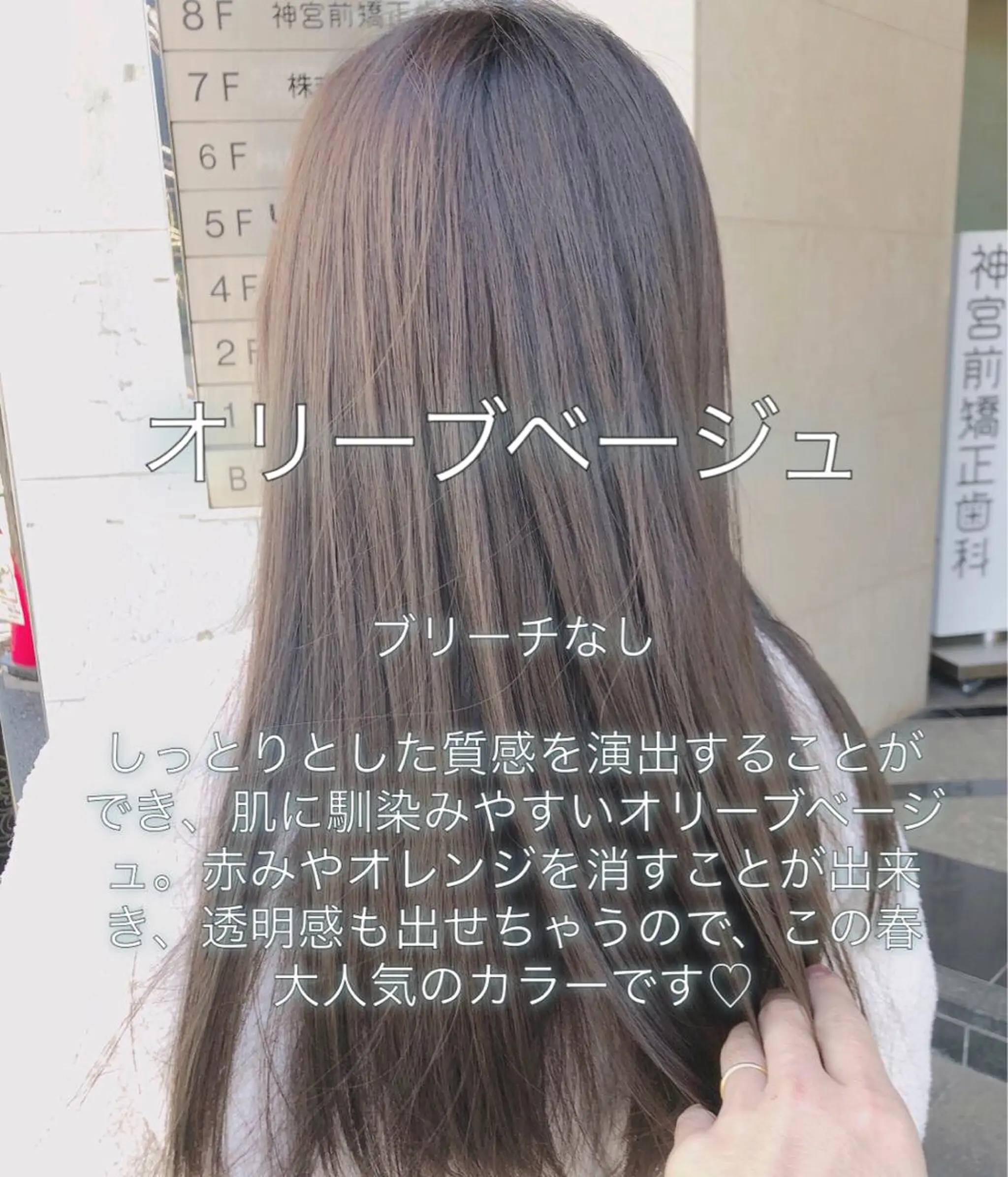 ロング カラー ベージュカラー ブリーチ 透明感カラー ブリーチなしカラー オリーブベージュ ヘアカラー ミニモお気に入り数 No.1宍戸雄弥のヘアスタイル