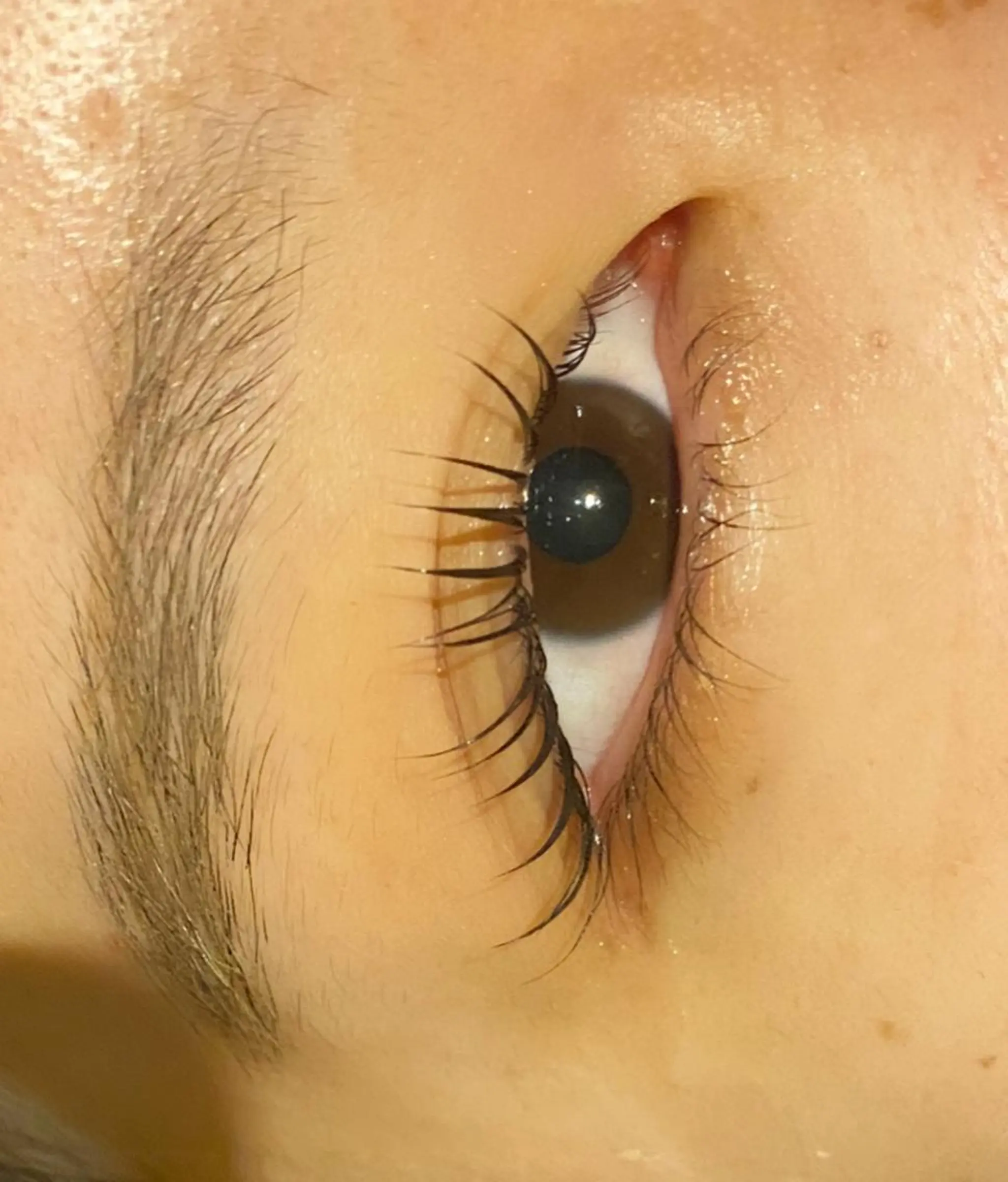 マツエク・マツパ マツパ なかがわ せいかのマツエク・マツパデザイン