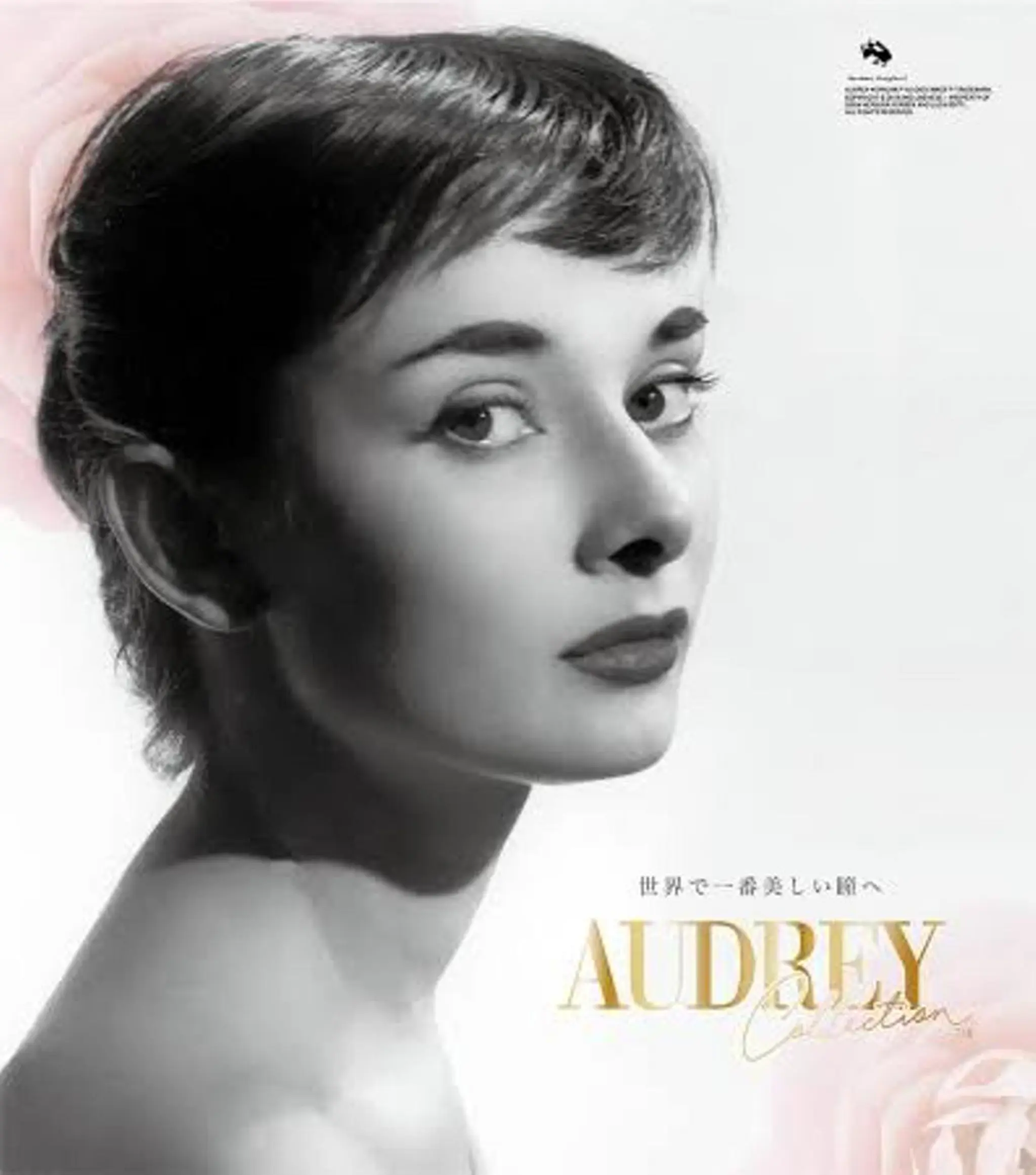 マツエク・マツパ IBIS 所沢のマツエク・マツパデザイン