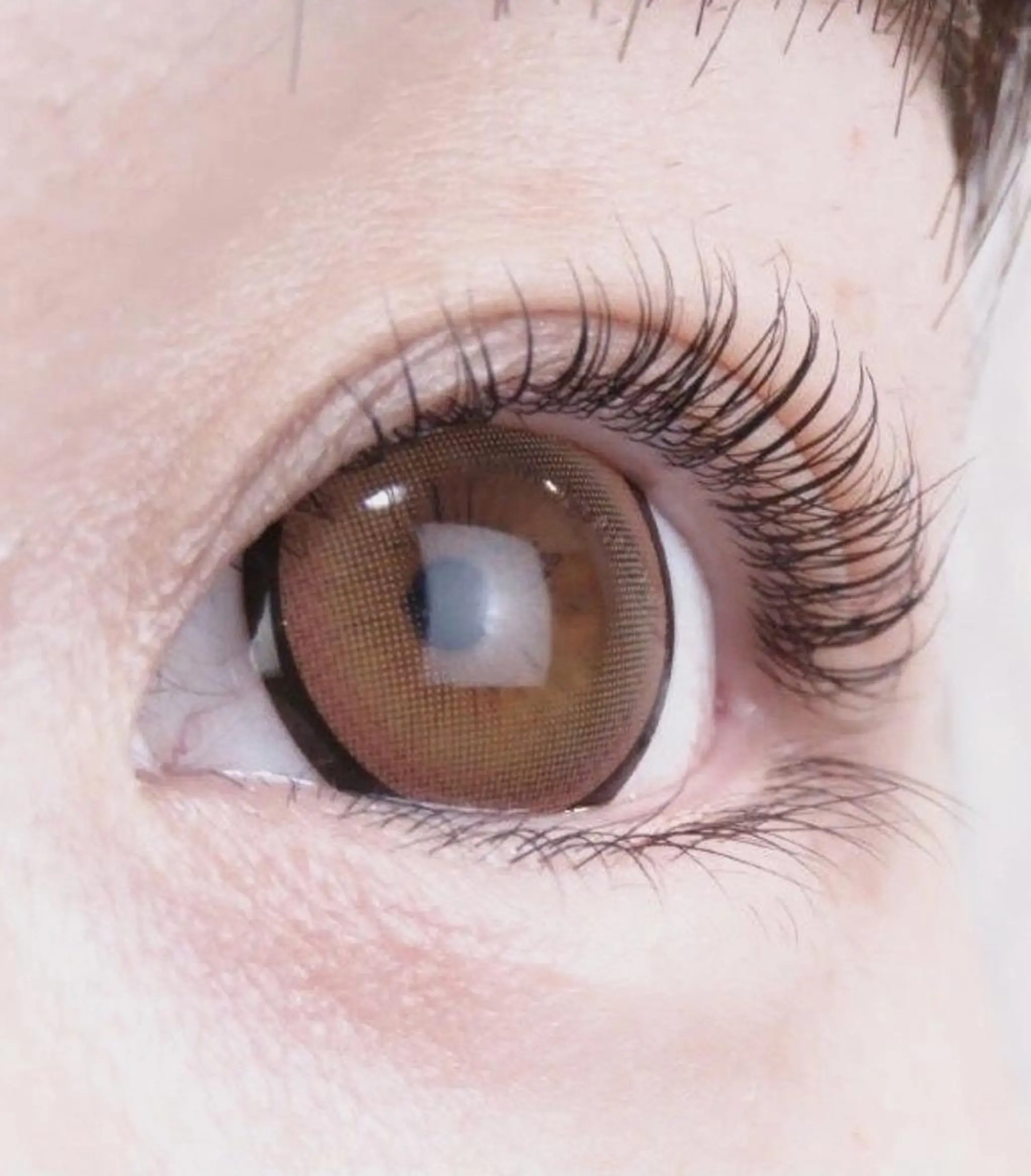 マツエク・マツパ まつげパーマ Roco'lush ❤︎ 渋谷店のマツエク・マツパデザイン