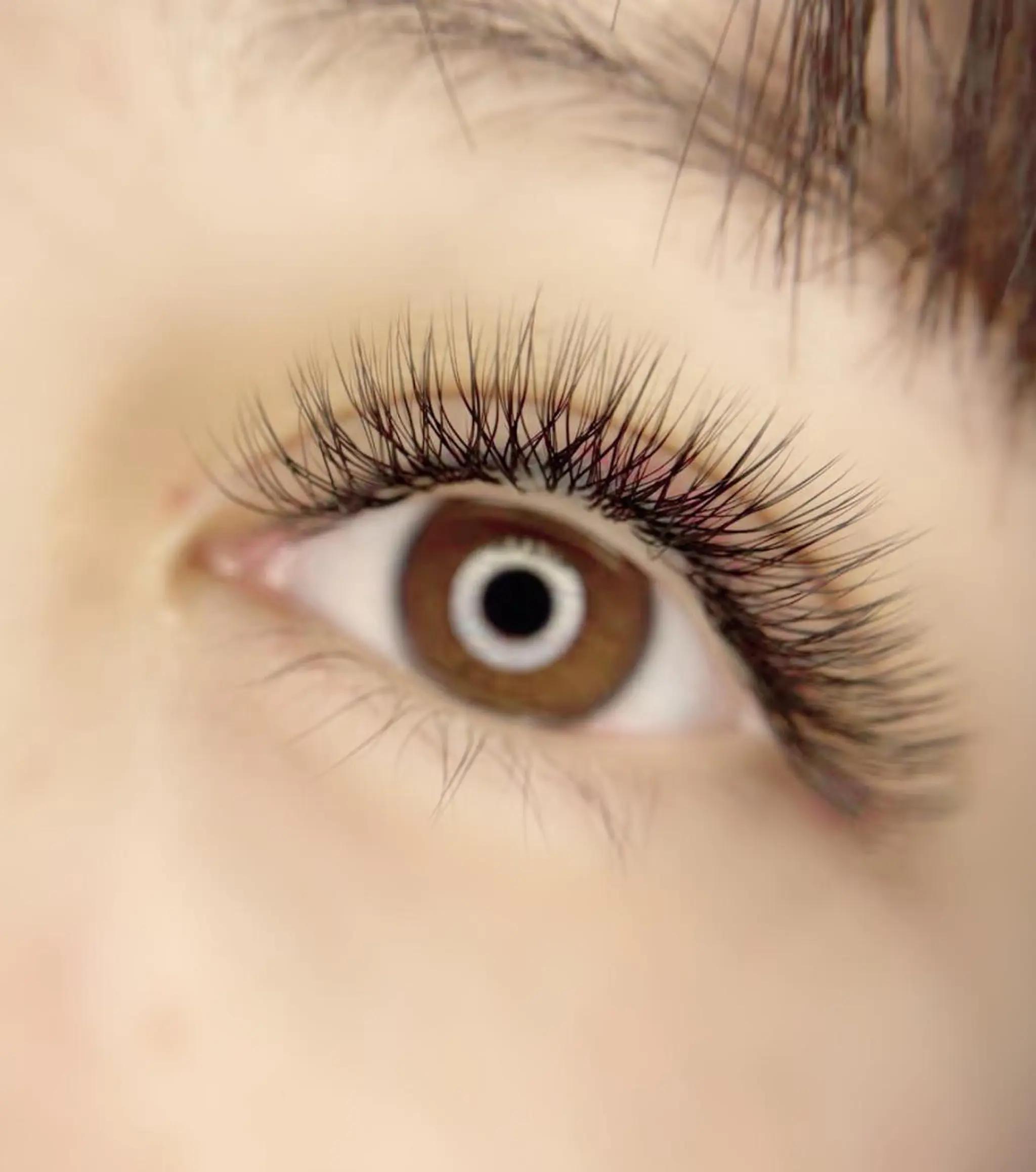 マツエク・マツパ Cute B e au t yのマツエク・マツパデザイン