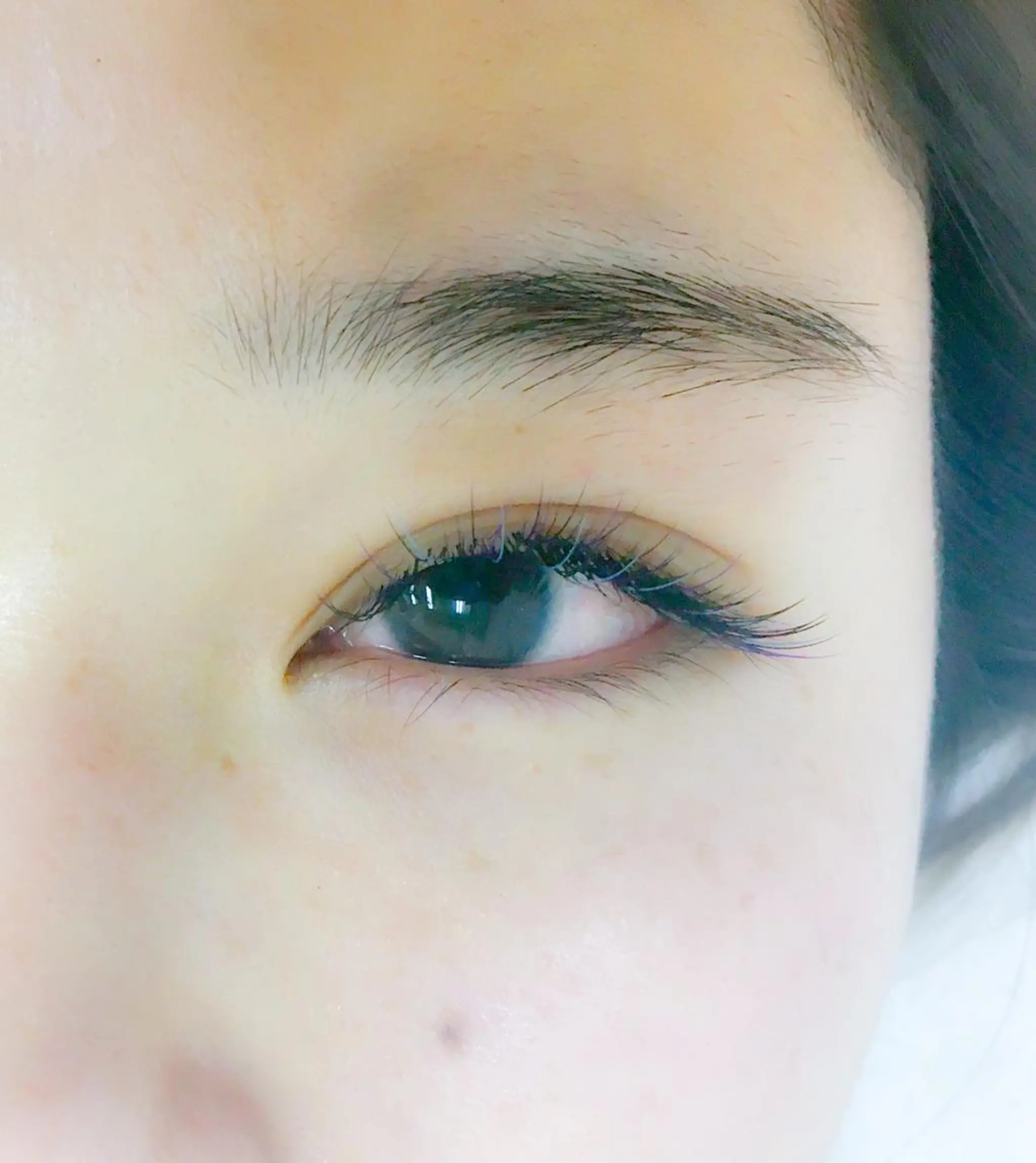 マツエク・マツパ Cカール Jカール セーブル 🪻 tipiのマツエク・マツパデザイン