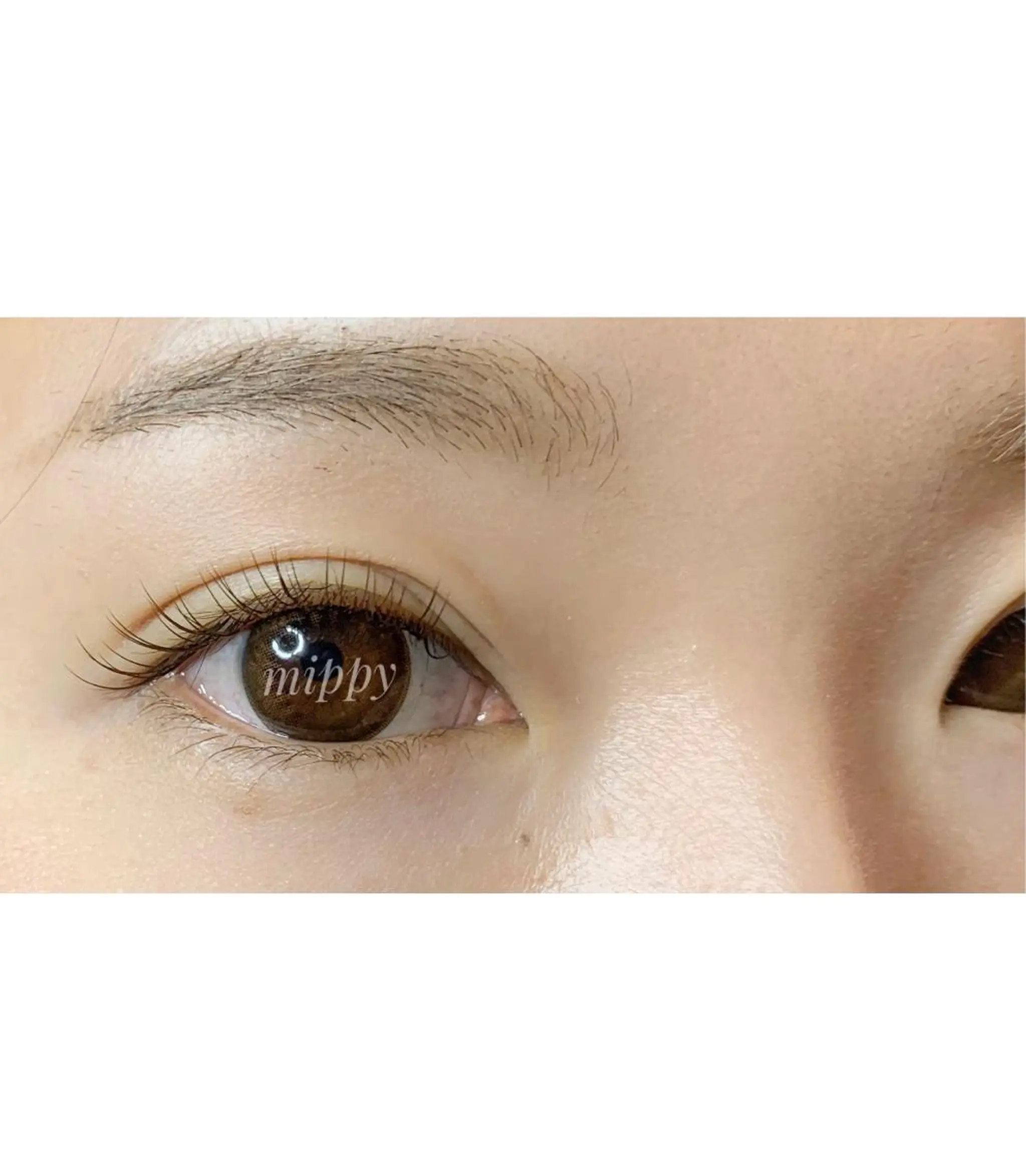 マツエク・マツパ ｍｉｐｐｙ 🪽のマツエク・マツパデザイン