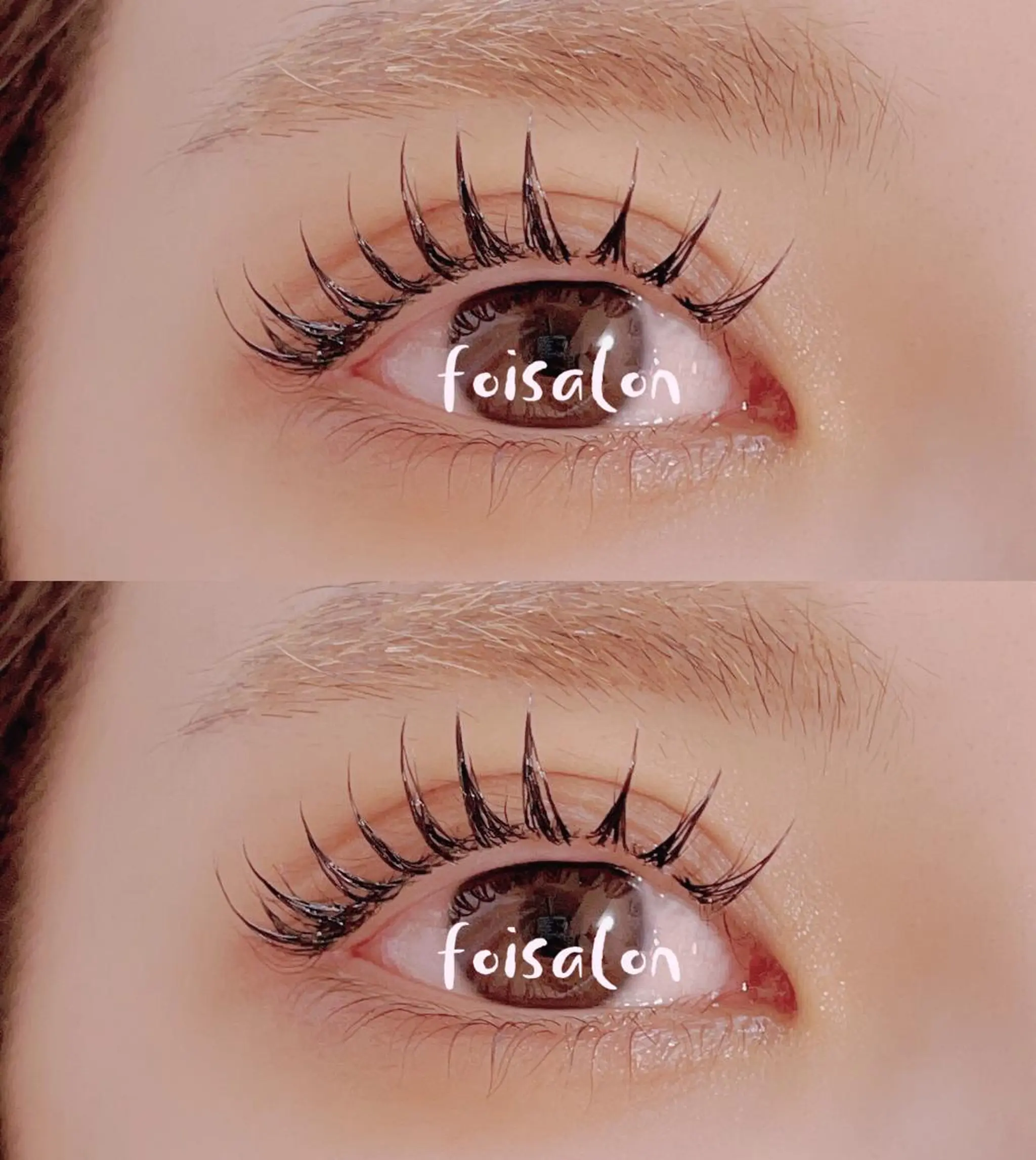 マツエク・マツパ フラットラッシュ パリジェンヌラッシュリフト まつげパーマ 一重×まつ毛パーマ ワンホンマツエク foisalon 新宿西口店のマツエク・マツパデザイン