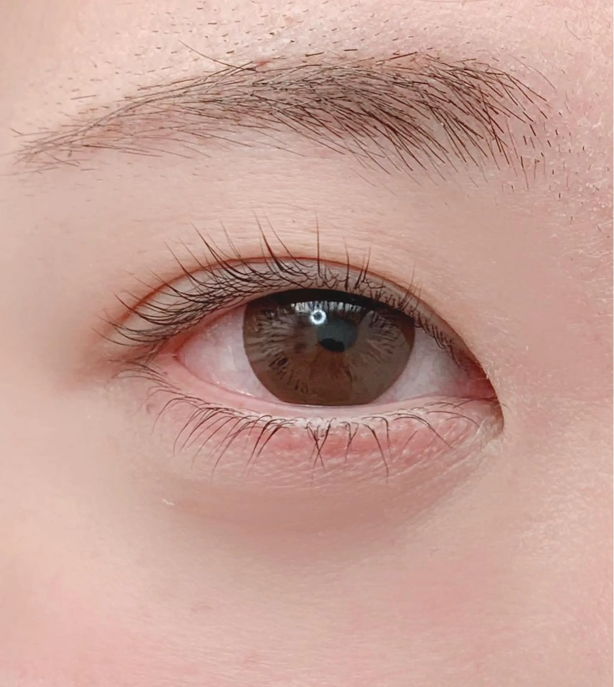 マツエク・マツパ Refrain  ルフラン所属・Refrain ルフランのマツエク・マツパデザイン