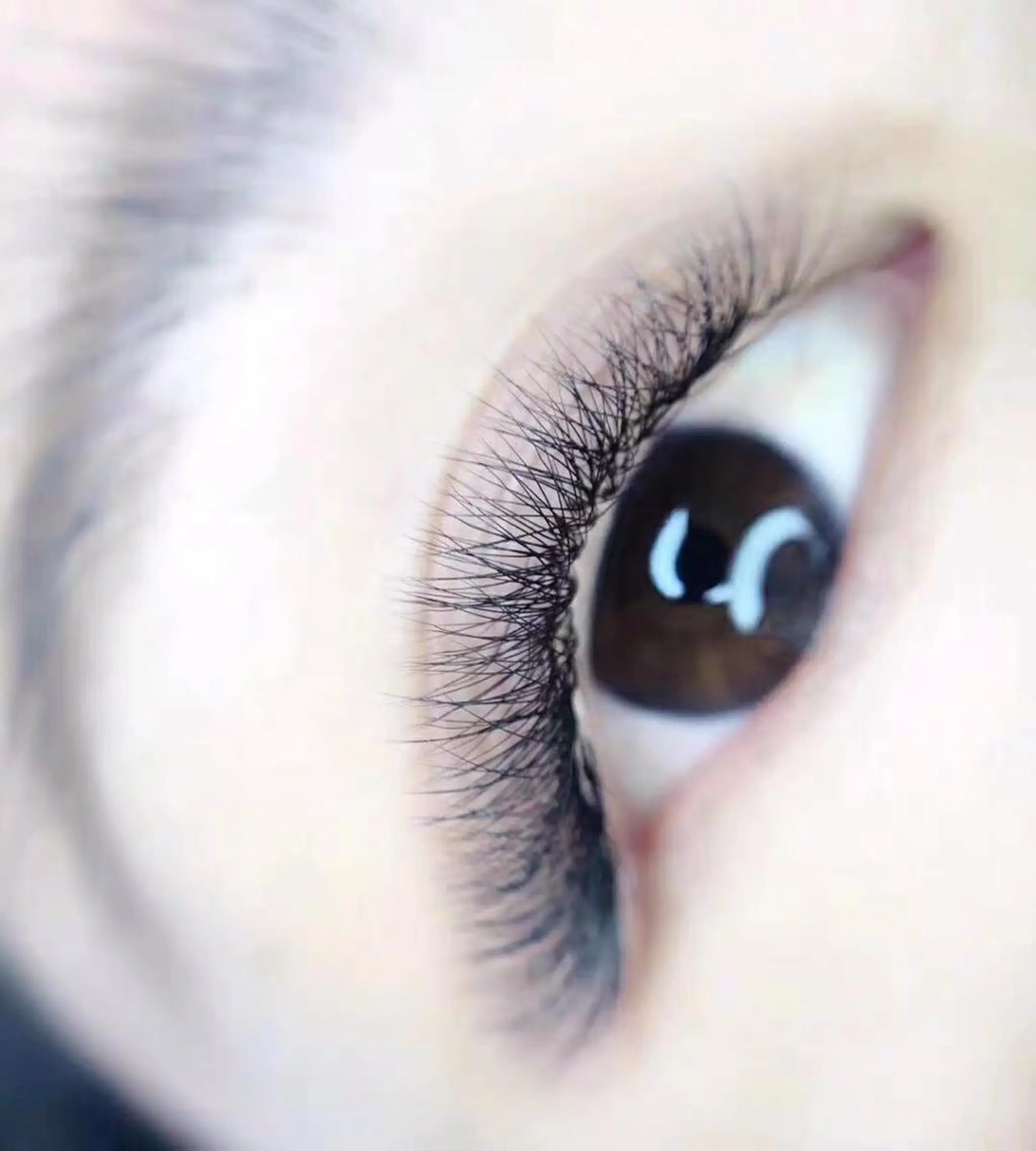 マツエク・マツパ Cute beauty2のマツエク・マツパデザイン