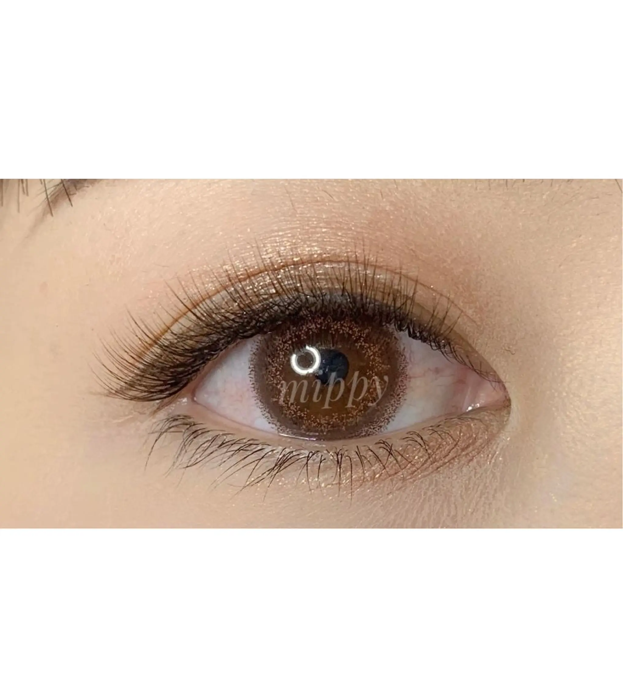 マツエク・マツパ ｍｉｐｐｙ 🪽のマツエク・マツパデザイン