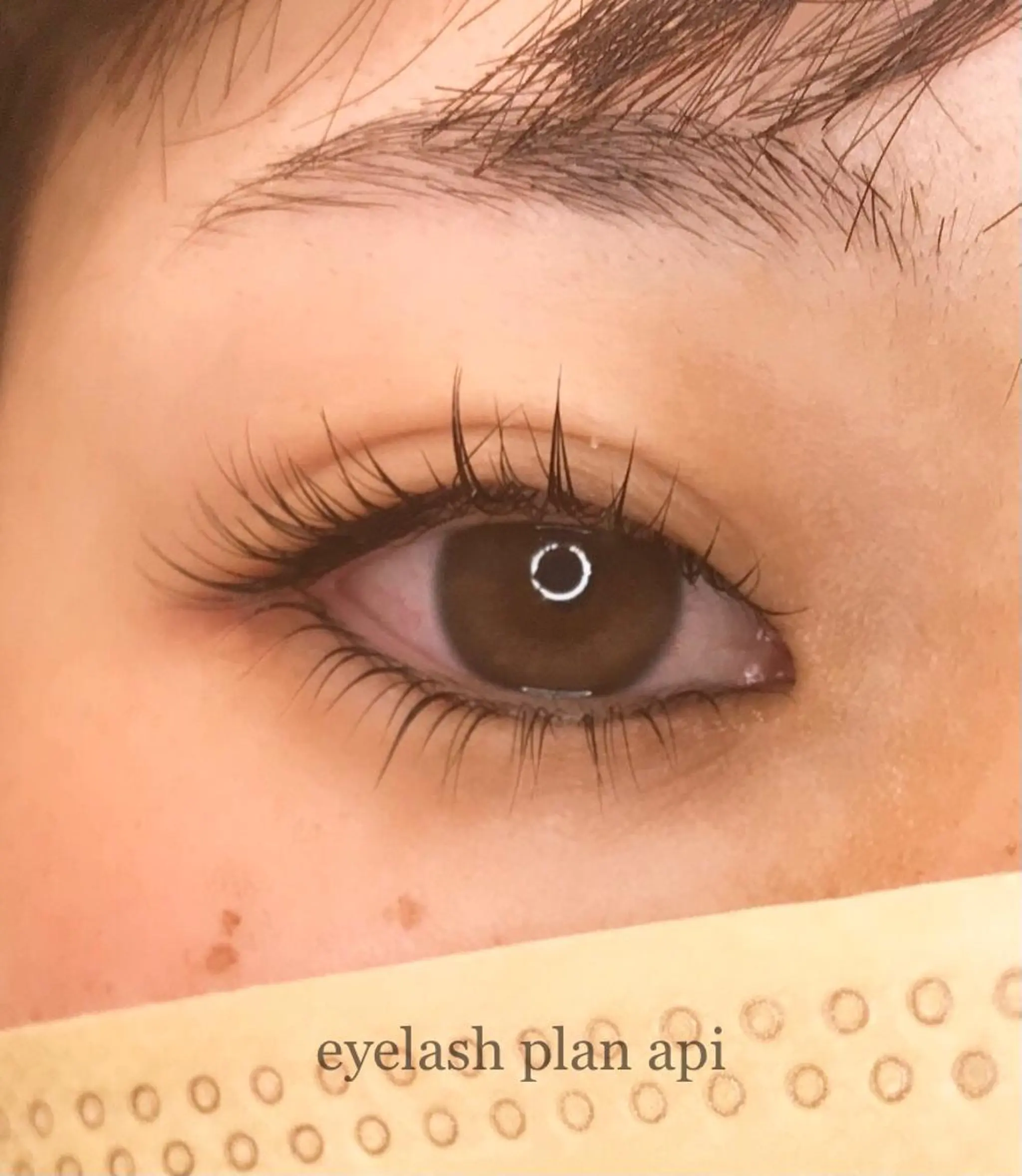 マツエク・マツパ 《eyelash ｉｉｔｅ》森のマツエク・マツパデザイン