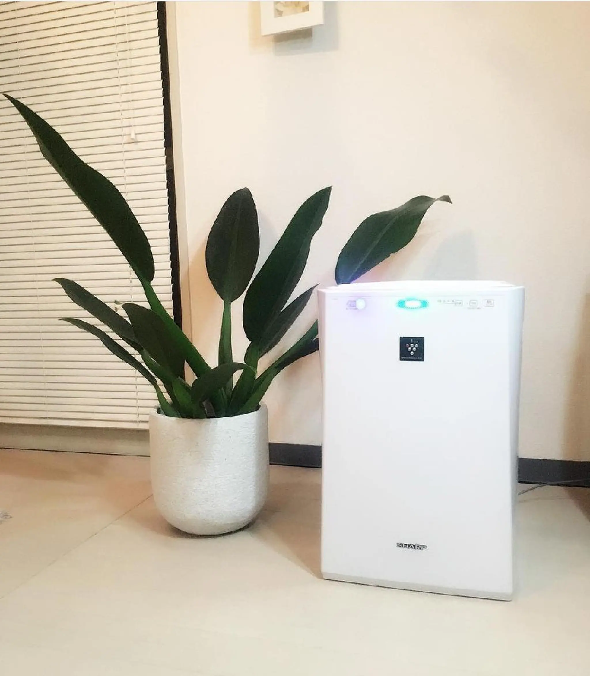 ネイル ネイルサロン アリュームのネイルデザイン