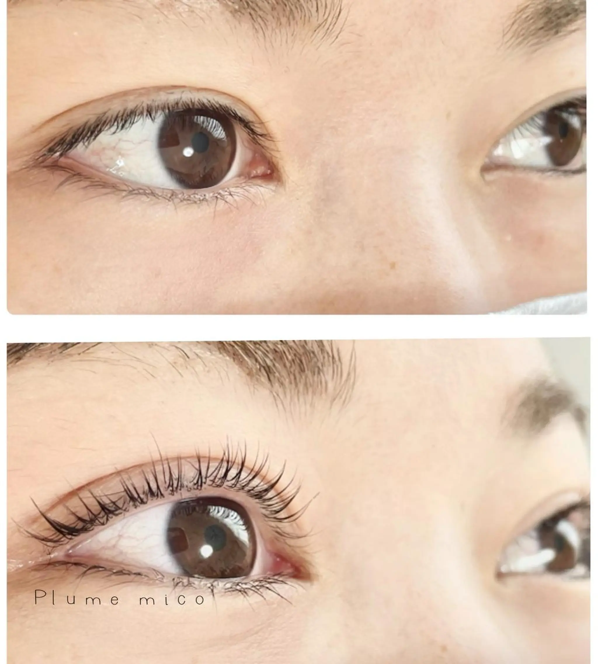 マツエク・マツパ マツパ Plume micoのマツエク・マツパデザイン