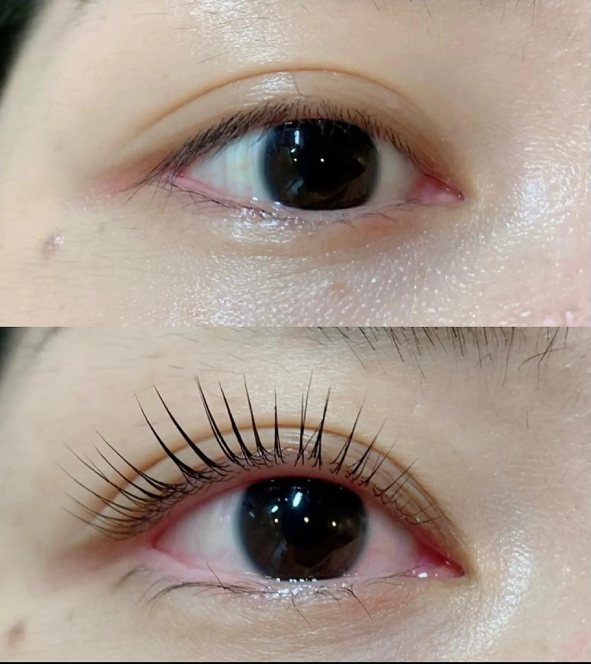 マツエク・マツパ fan.germe 副店長MIYABIのマツエク・マツパデザイン