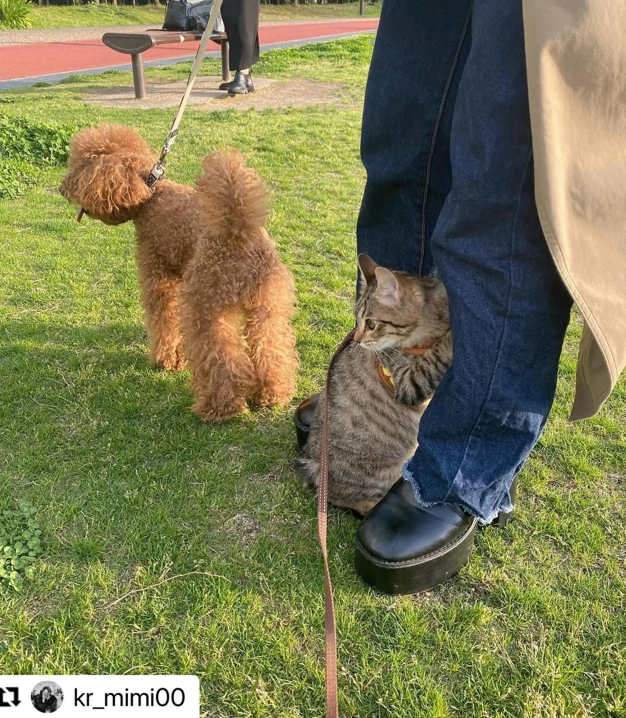 ミディアム カラー メンズ 🩷Eny terrace🩷のヘアスタイル