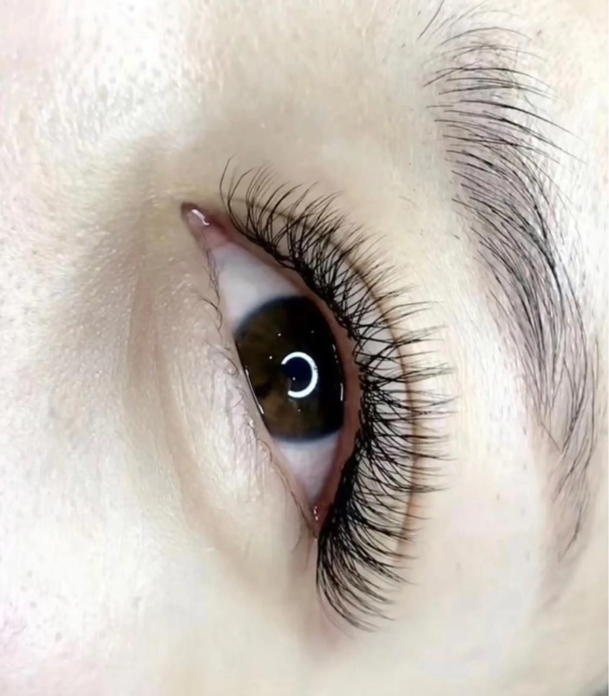 マツエク・マツパ M🌷nail 長さだし専門店のネイルデザイン