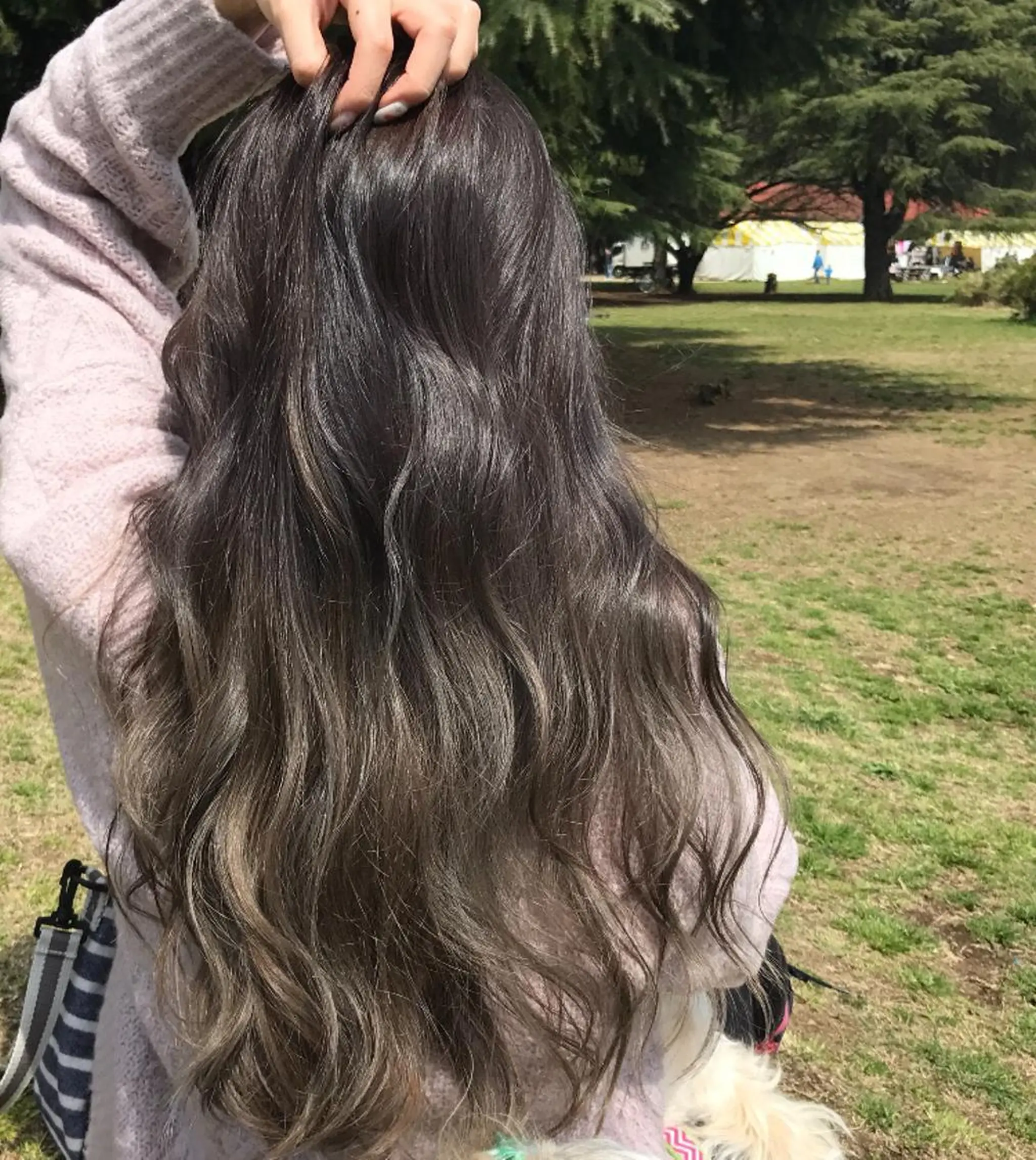 ロング カラー ブリーチ/ハイトーン /大人バレイヤージュのヘアスタイル