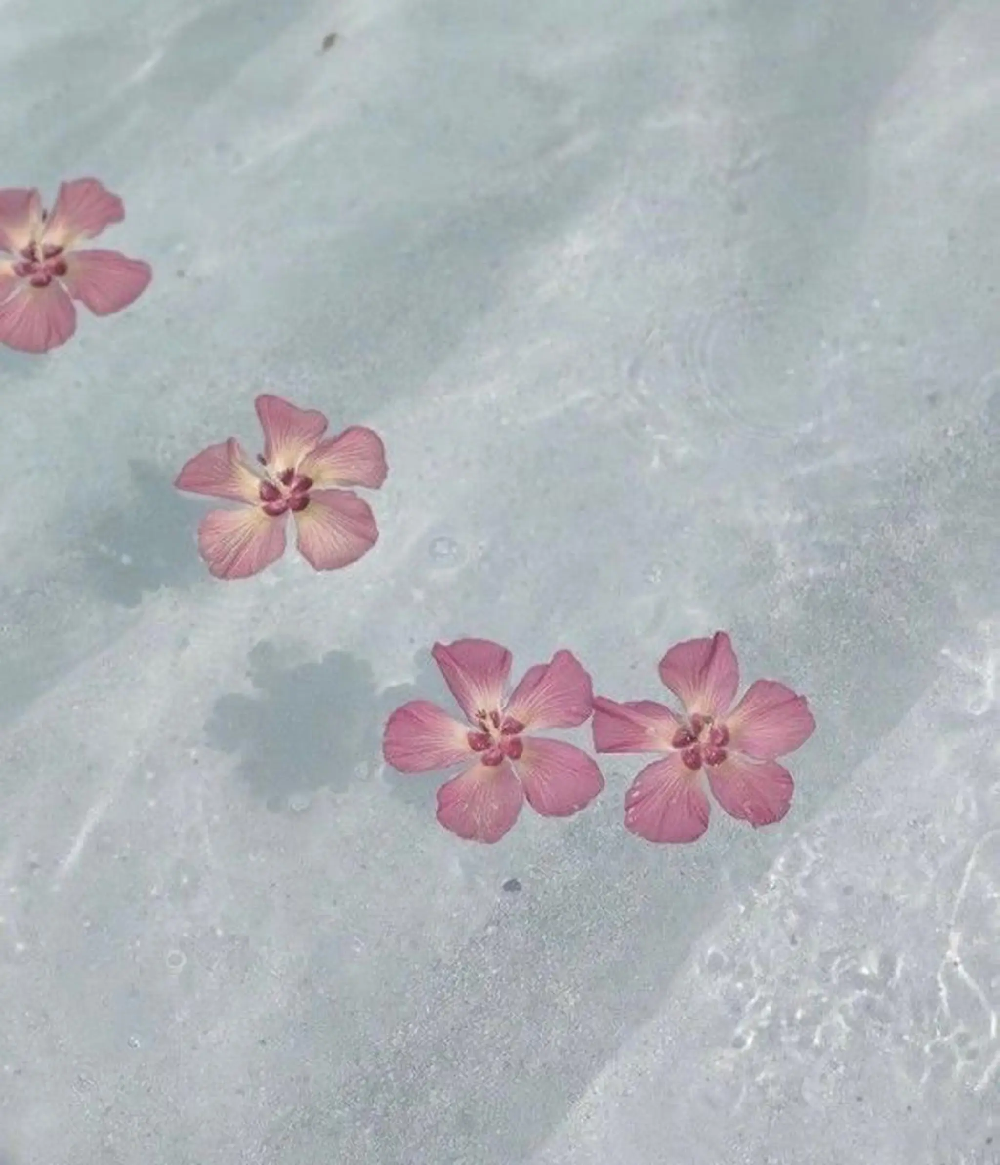 マツエク・マツパ アイブロウ マツエク fully nakameguro所属・fully nakameguroのマツエク・マツパデザイン