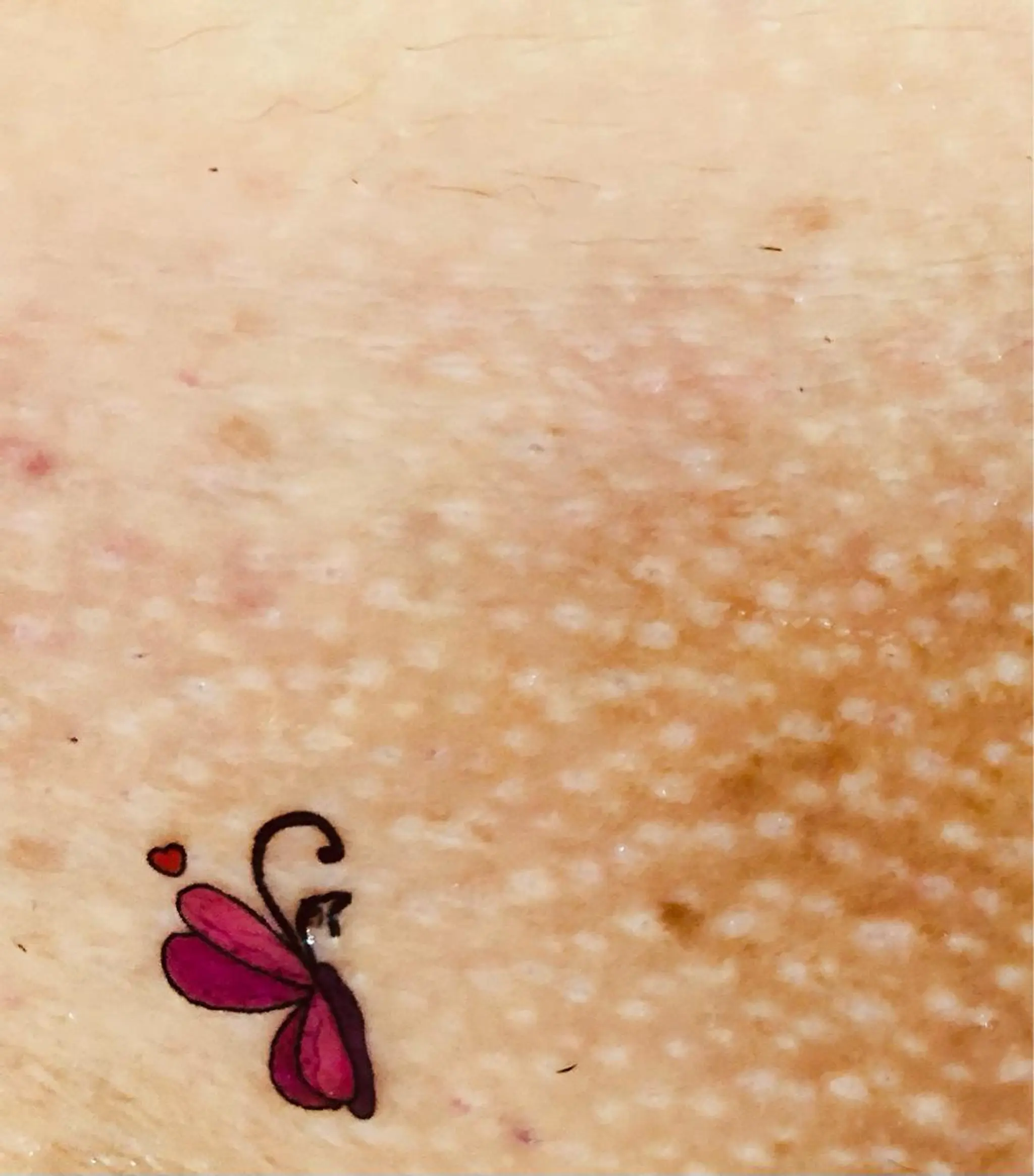 ブラジリアンワックス グレイスのエステ・リラクイメージ