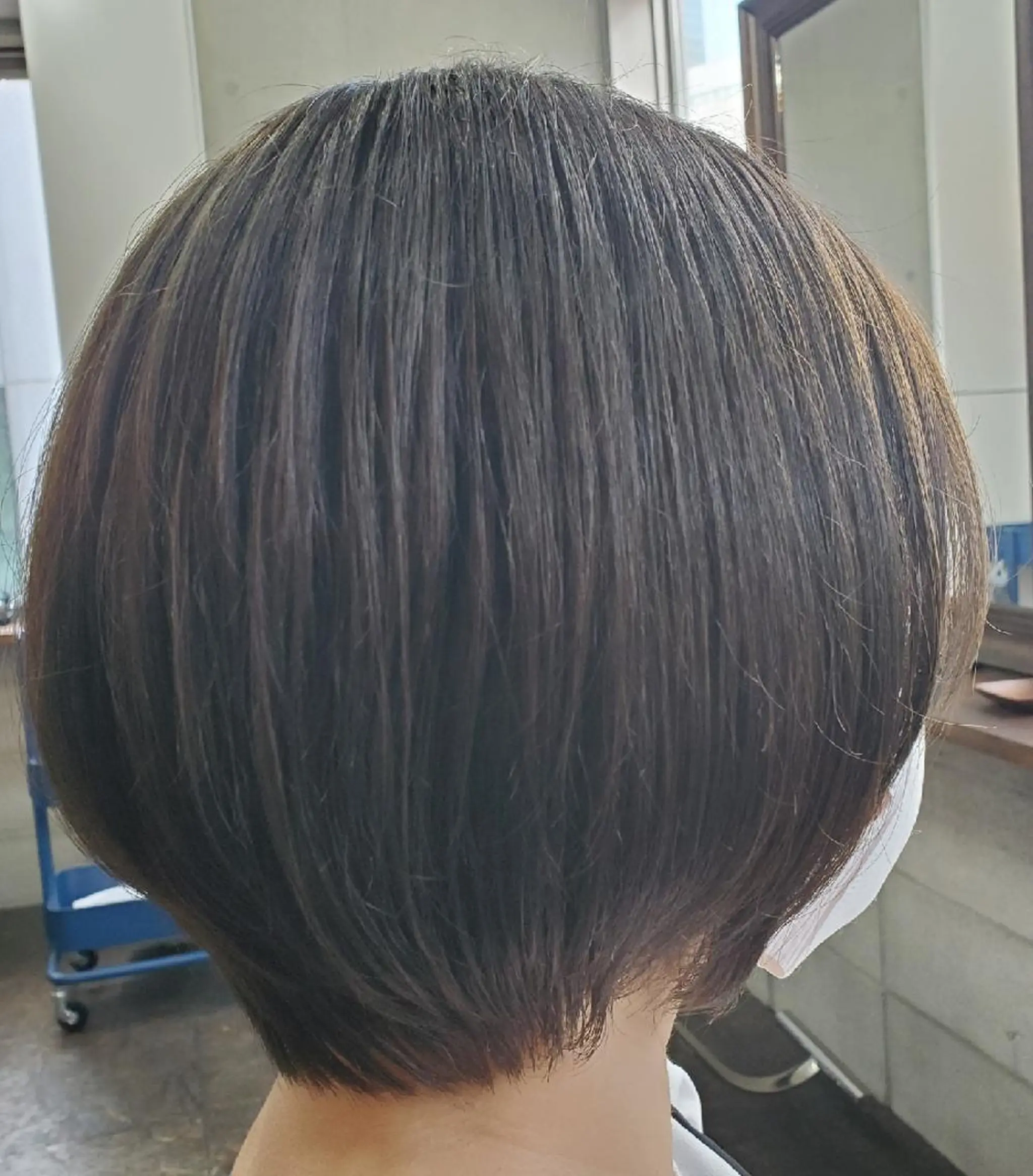 ショート カラー ショートボブ アッシュ ボブ ショートヘア S. ERIのヘアスタイル