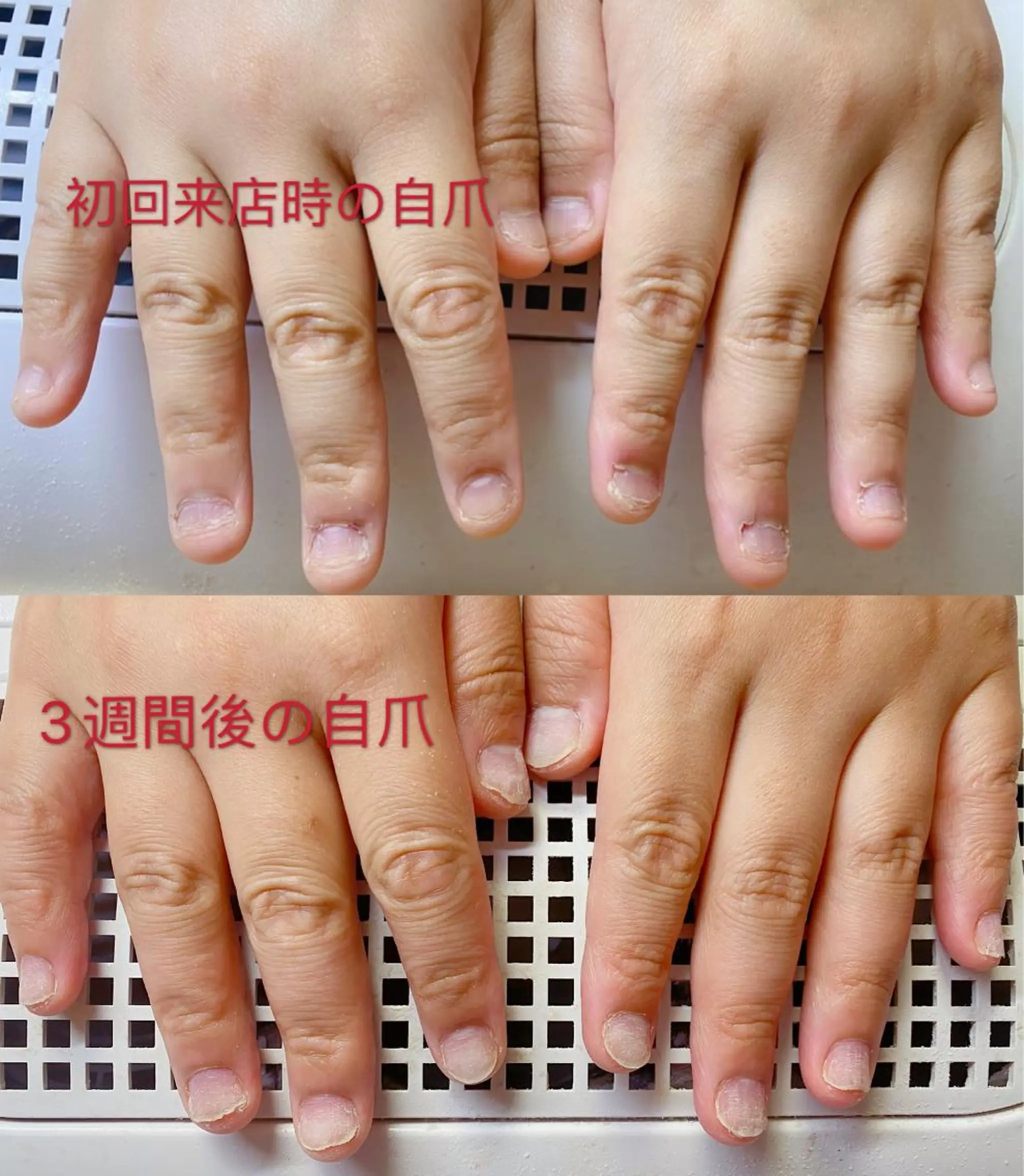 ロング カラー ネイル Q Free nailsのネイルデザイン