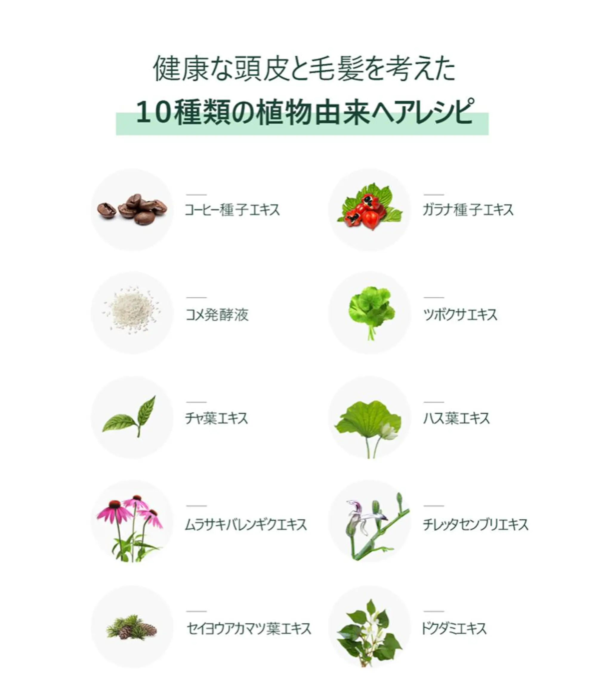 LUSH LASH 松田のマツエク・マツパデザイン