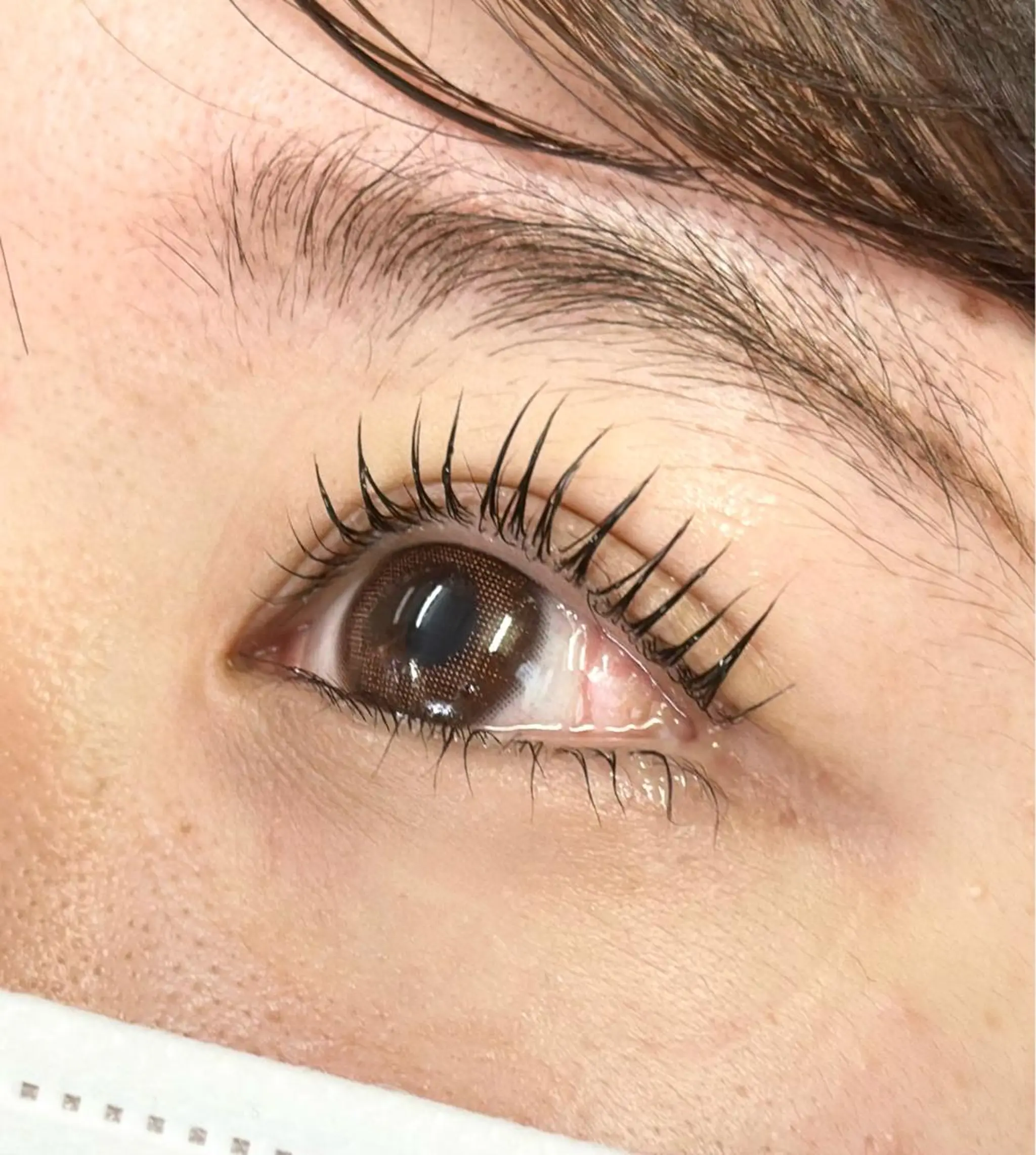 マツエク・マツパ 一重×まつ毛パーマ マツパ Bianca大宮店 マヘリ未奈🤎のマツエク・マツパデザイン