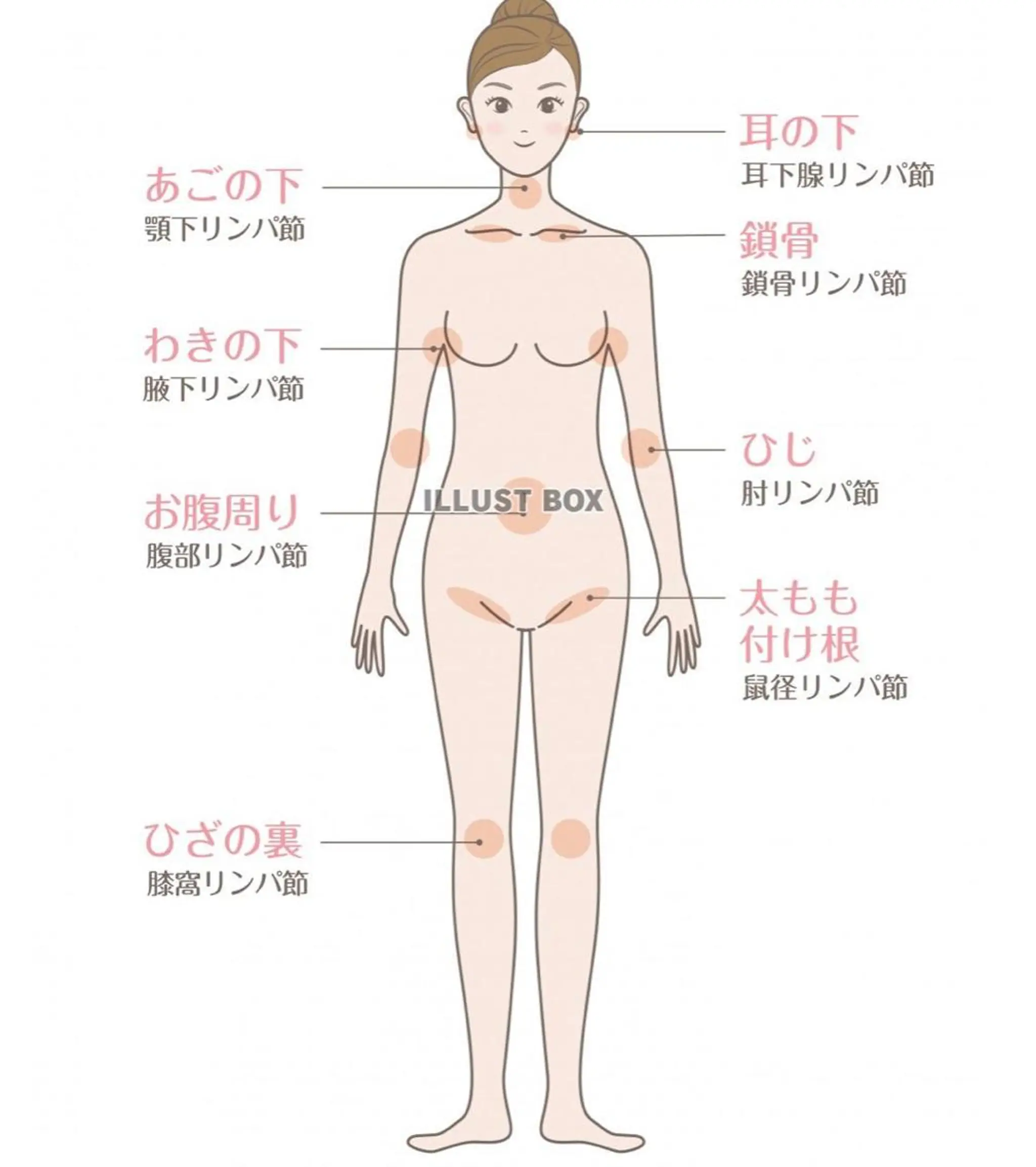 カラダ想いの体質改善 ラフイージーのエステ・リラクイメージ