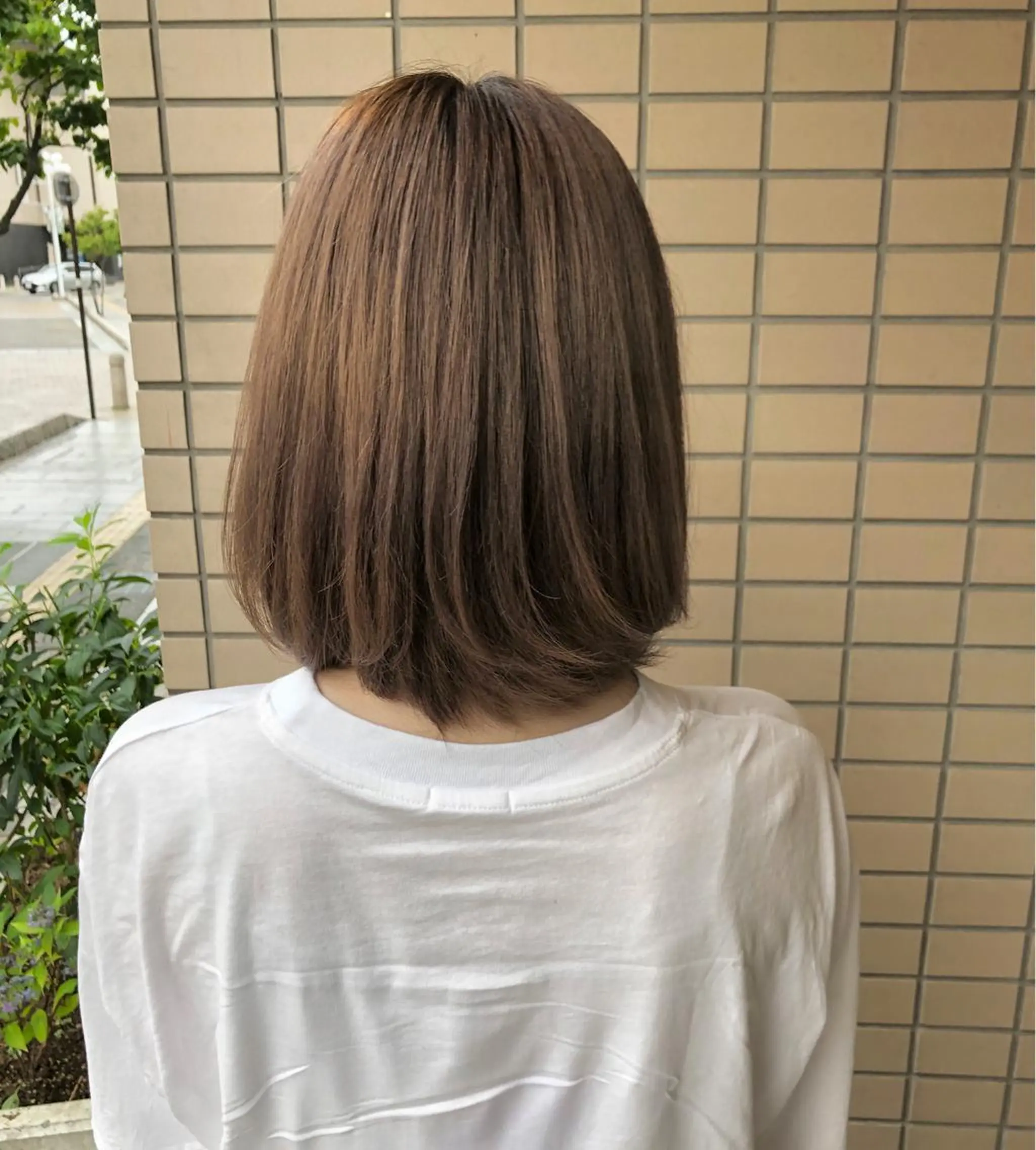 ミディアム アッシュ キノシタ ナオユキのヘアスタイル