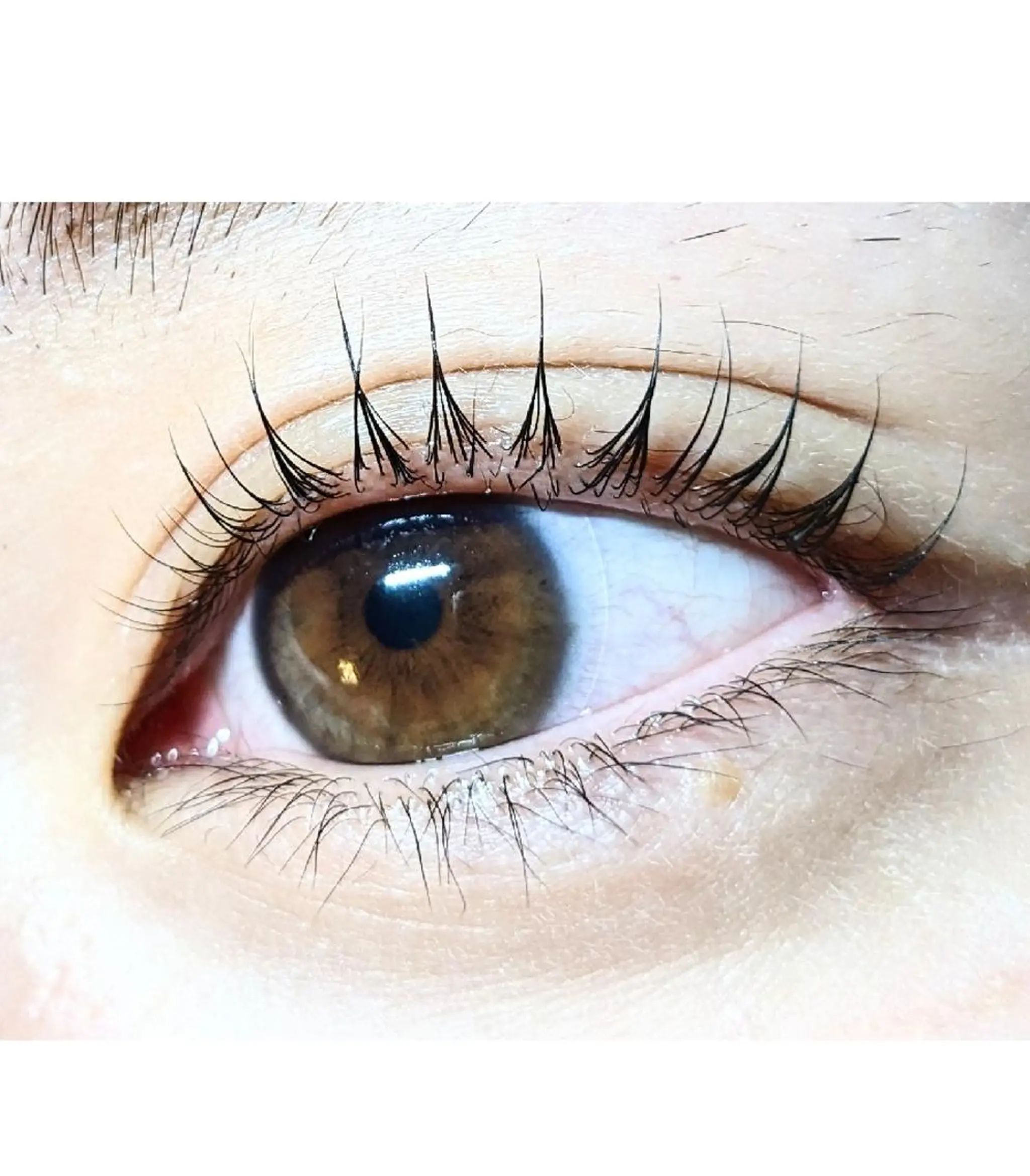 マツエク・マツパ パリジェンヌラッシュリフト マツパ chaler 　シャルーレ所属・シャルーレ chalerのマツエク・マツパデザイン