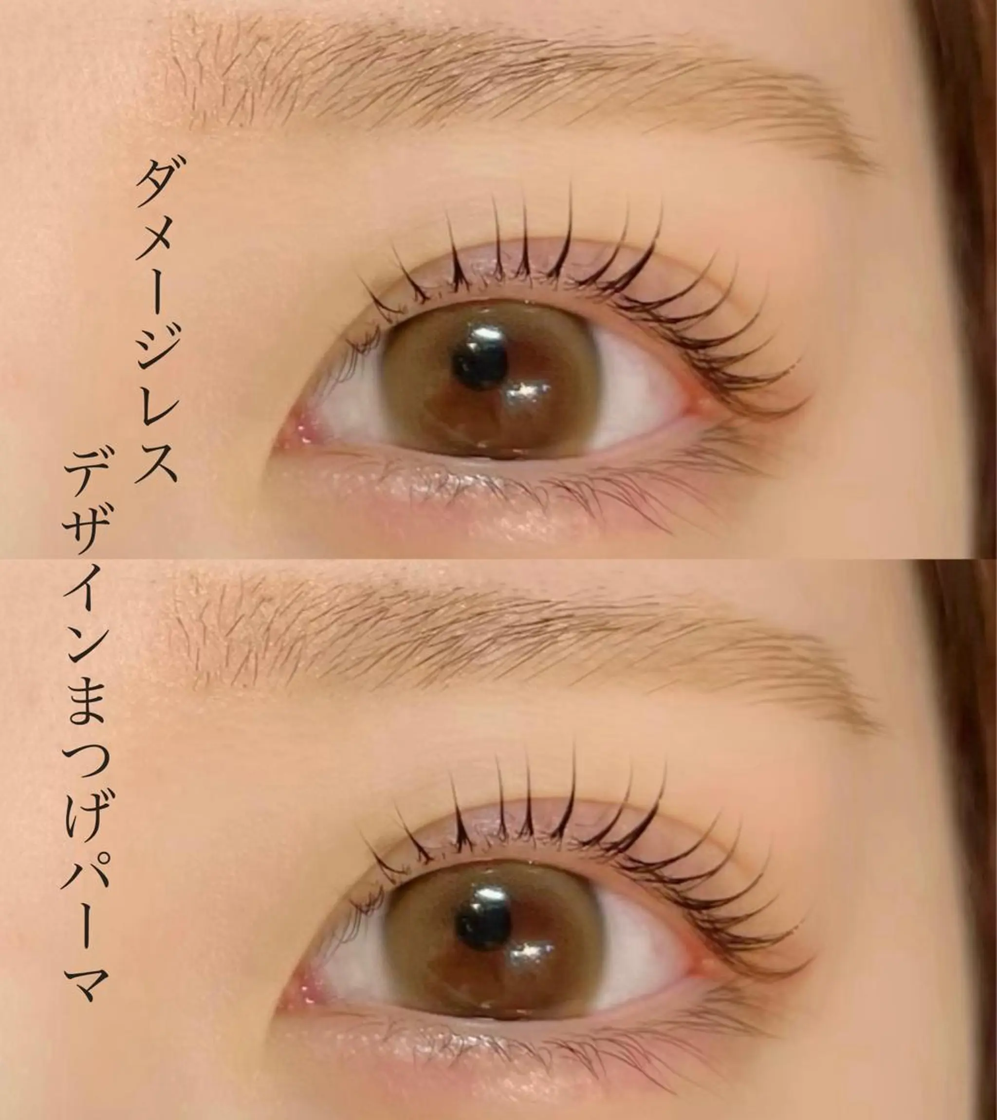 マツエク・マツパ まつげパーマ マツパ 谷本望 /宝塚eyelashの眉毛・アイブロウイメージ
