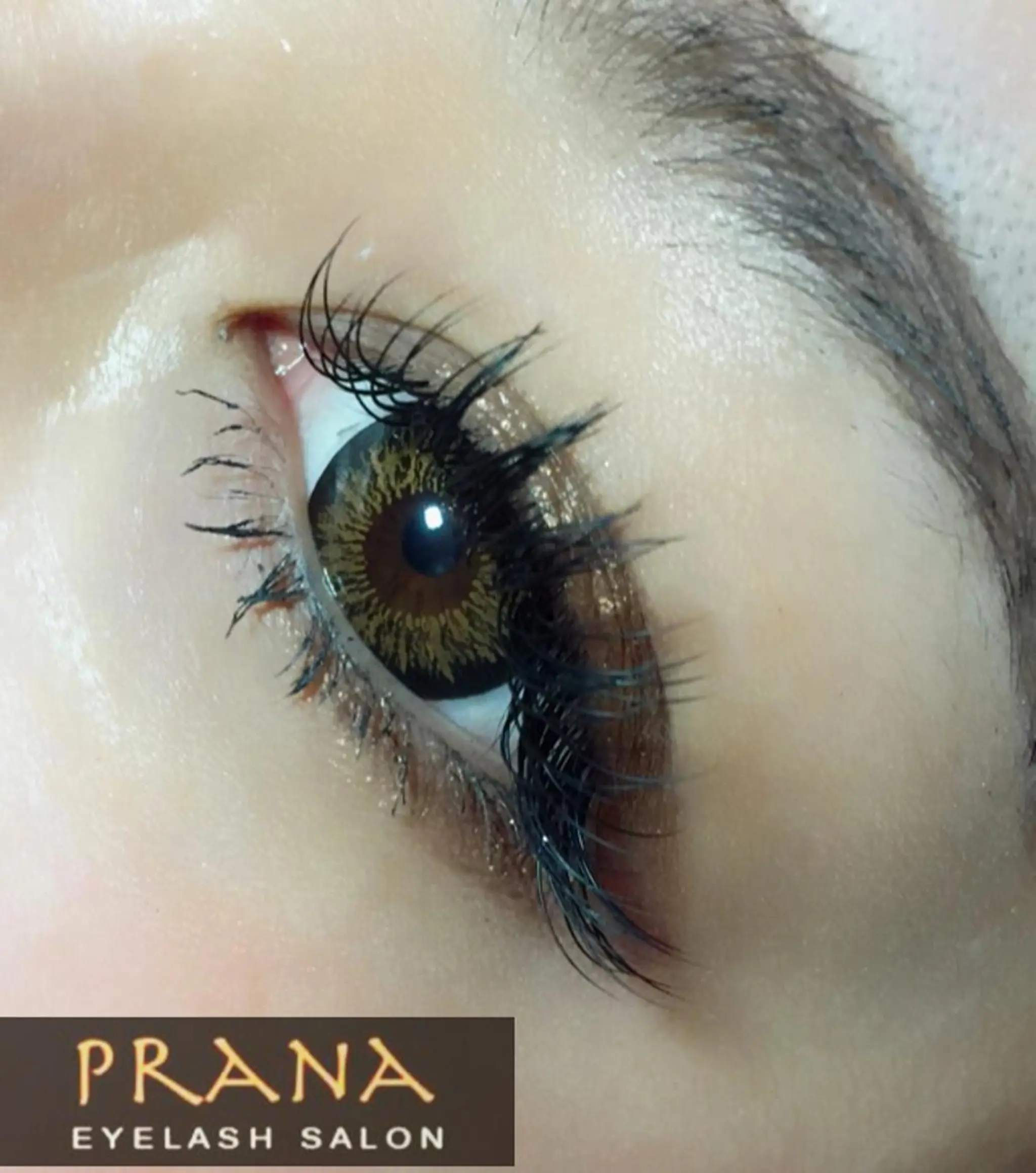 マツエク・マツパ マツエク PRANA所属・PRANA 錦糸町 徒歩3分のその他イメージ