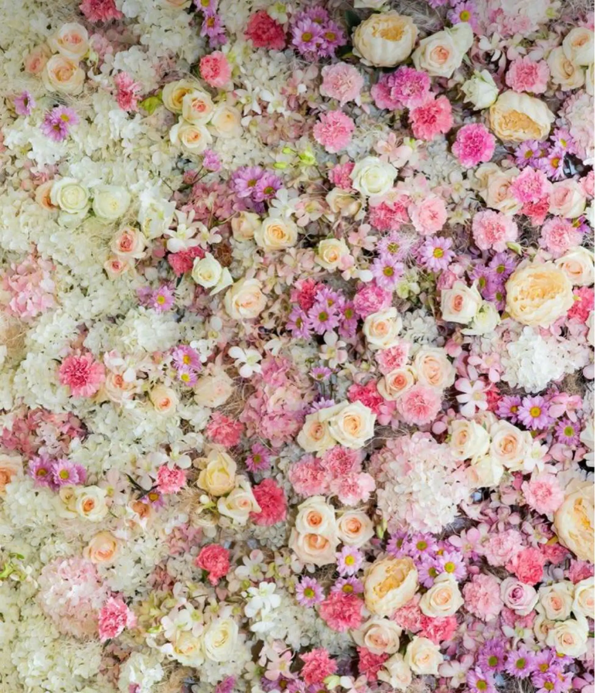 Bless hair &spa所属・🫧縮毛矯正／カラー ／bless松浦🫧のヘアスタイル