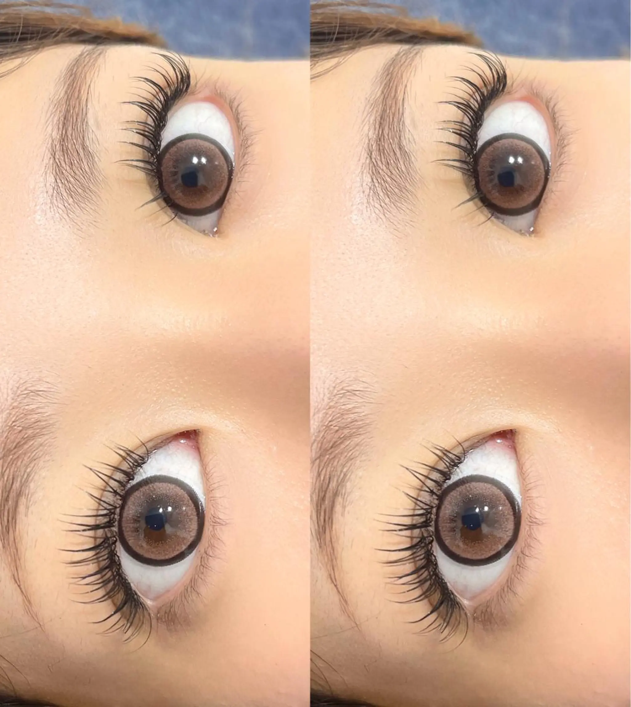 マツエク・マツパ beauty salon ECXIA所属・ECXIA 福田のマツエク・マツパデザイン