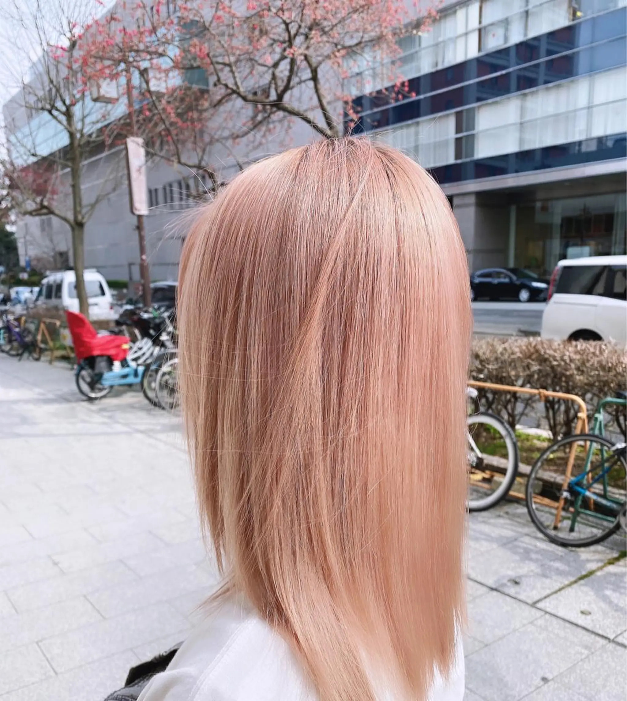 ミディアム カラー 加藤 利基のヘアスタイル