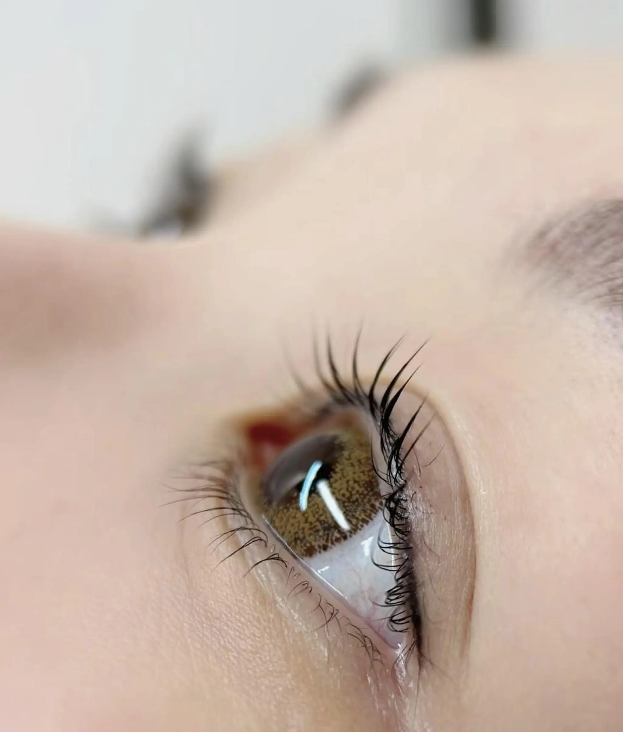 マツエク・マツパ バインドロック カラーマツエク フラットラッシュ 韓国風マツエク まつげパーマ マツエク AB マツエクネイルサロンのマツエク・マツパデザイン