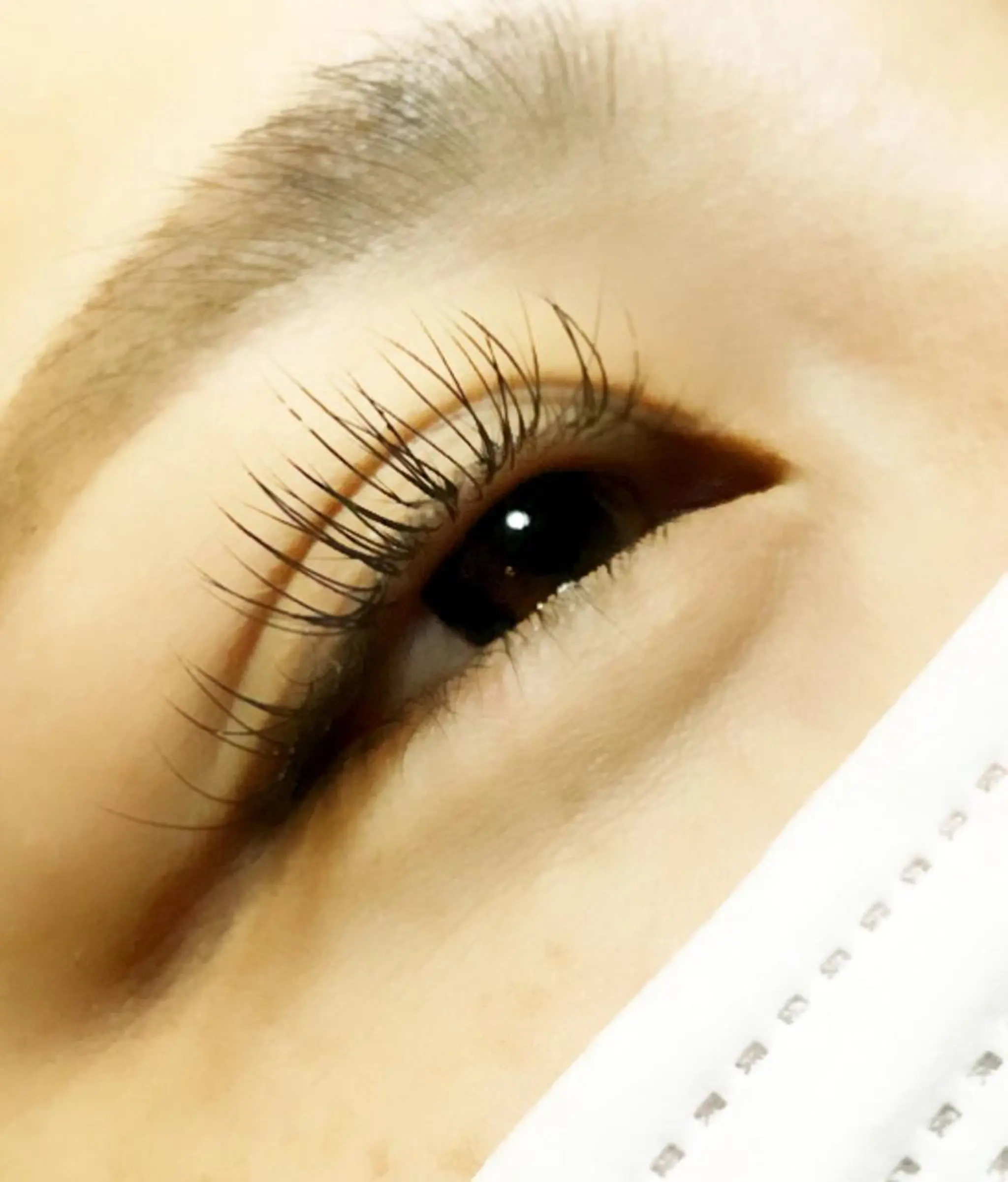 マツエク・マツパ 🦋きつない みゆ🦋のマツエク・マツパデザイン