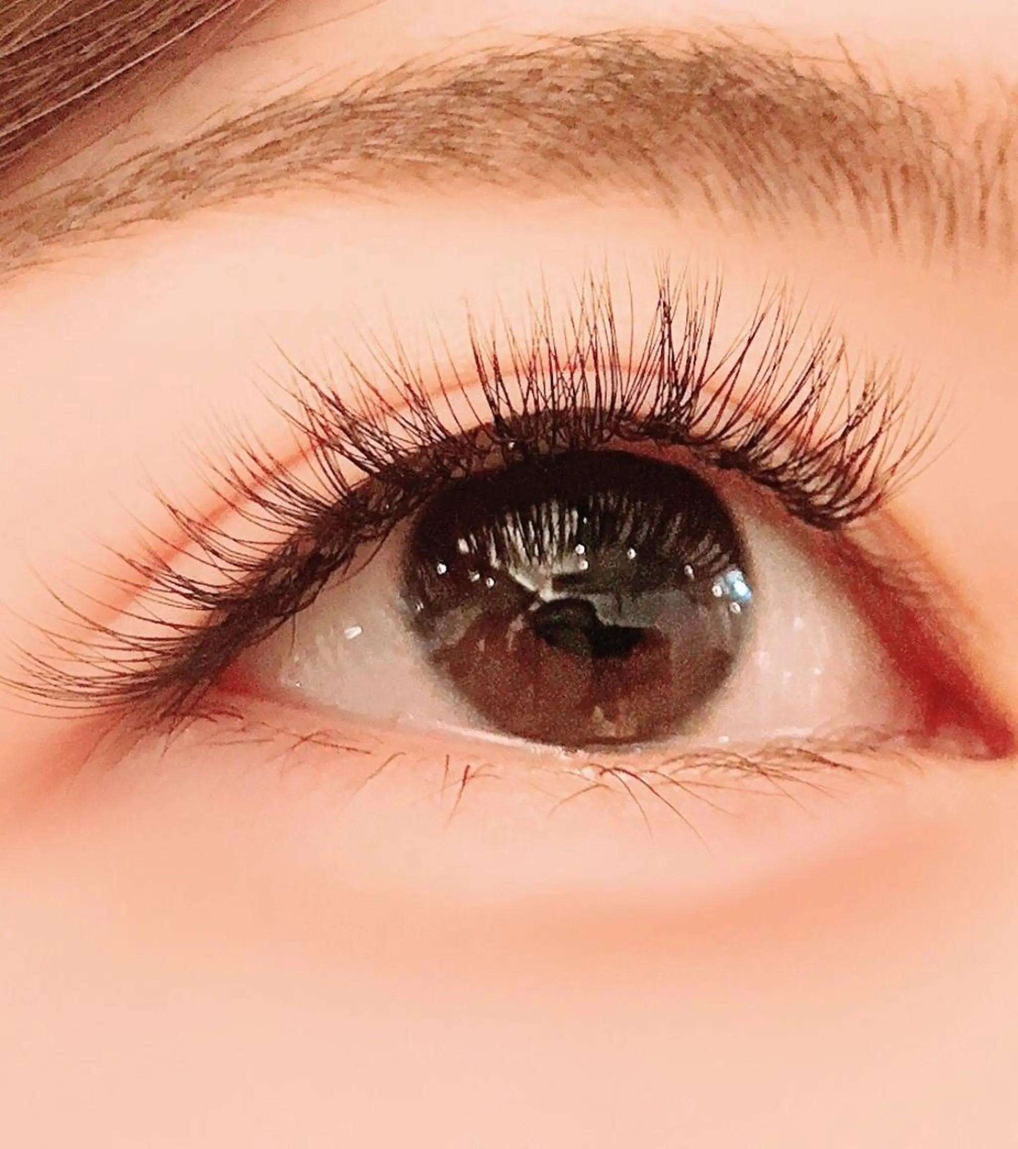 マツエク・マツパ Cカール ボリュームラッシュ Eyelash  Salon FAXIA大宮店所属・FAXIA Mihoの眉毛・アイブロウイメージ