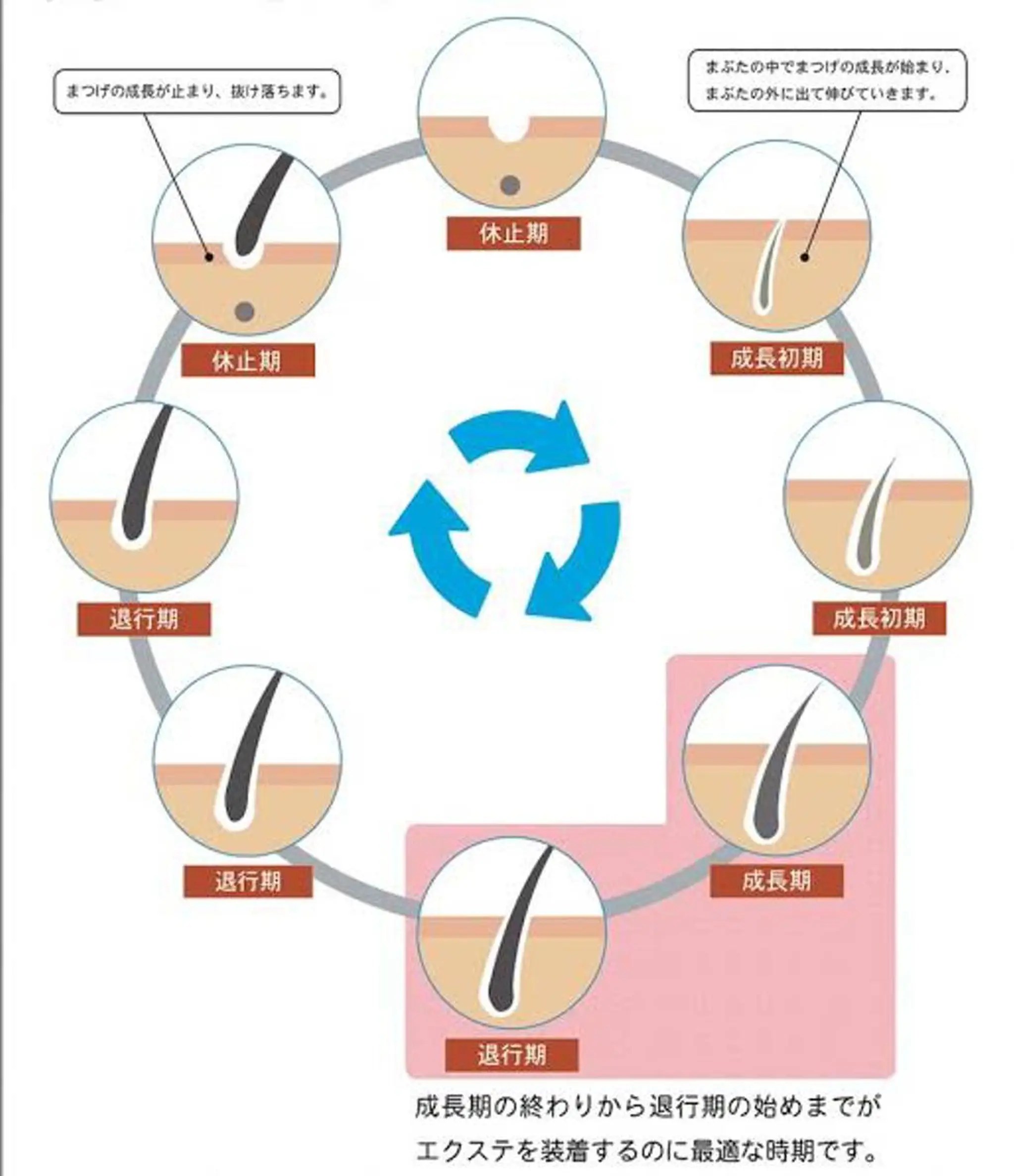 マツエク・マツパ その他(アイブロウ) eyelash presh yukaのマツエク・マツパデザイン