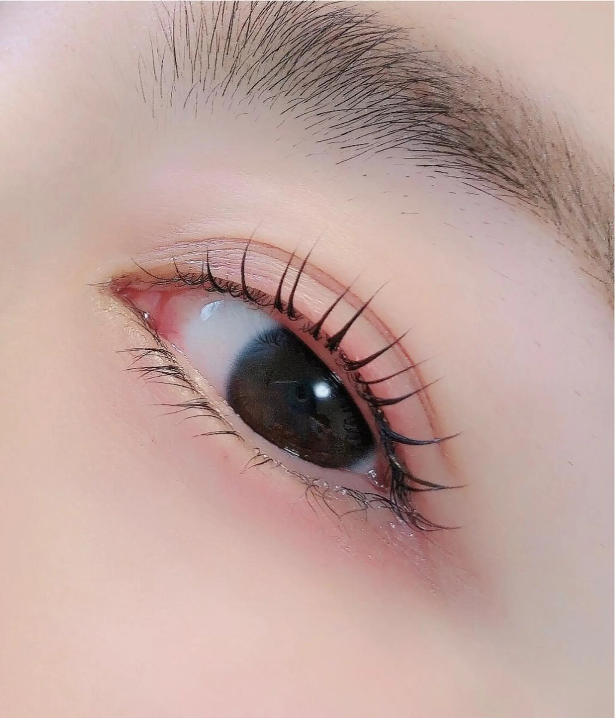 マツエク・マツパ ナチュラル 一重×まつ毛パーマ Beauty Salon miliのマツエク・マツパデザイン