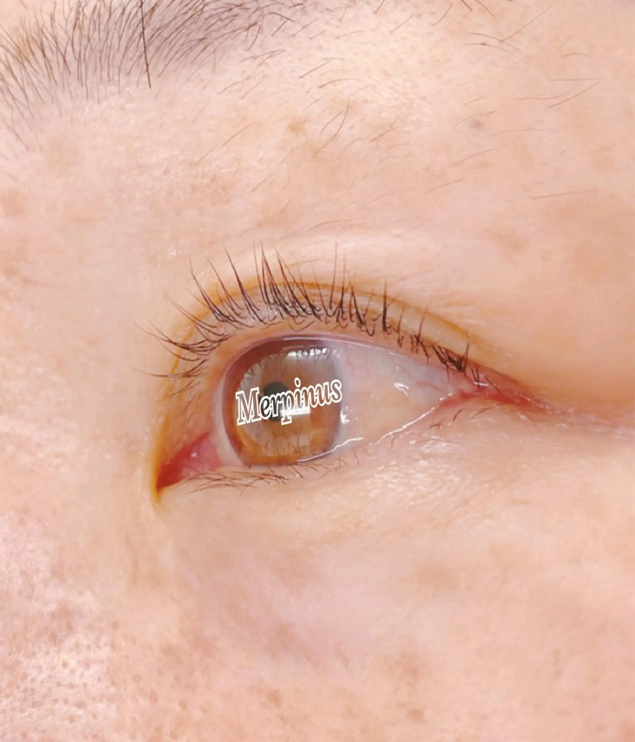 マツエク・マツパ パリジェンヌラッシュリフト Eyelash salon kukuna所属・まつ毛サロン Kukunaのマツエク・マツパデザイン