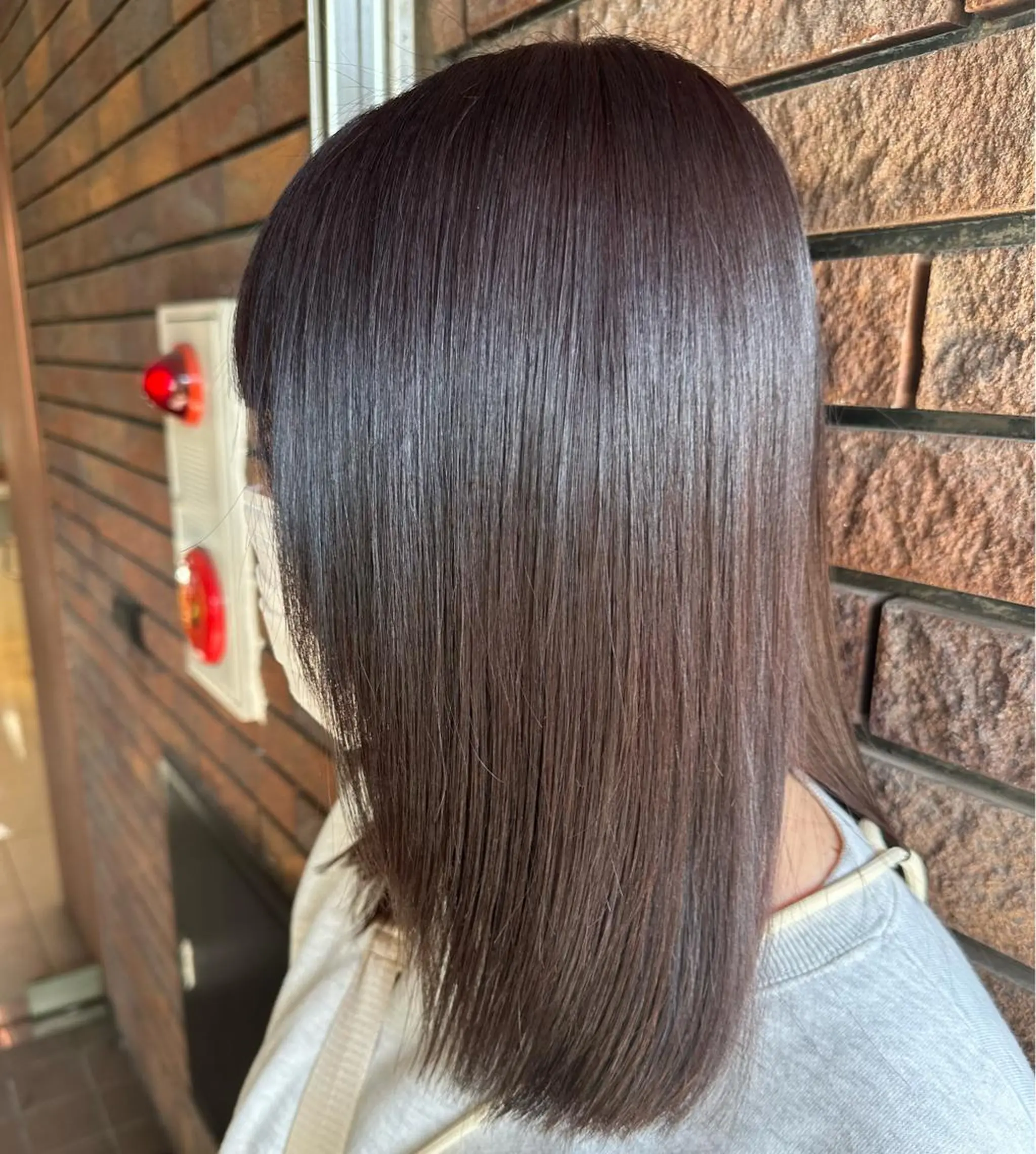 セミロング カラー ウルフカット指名 No. 1橘しゅうとのヘアスタイル