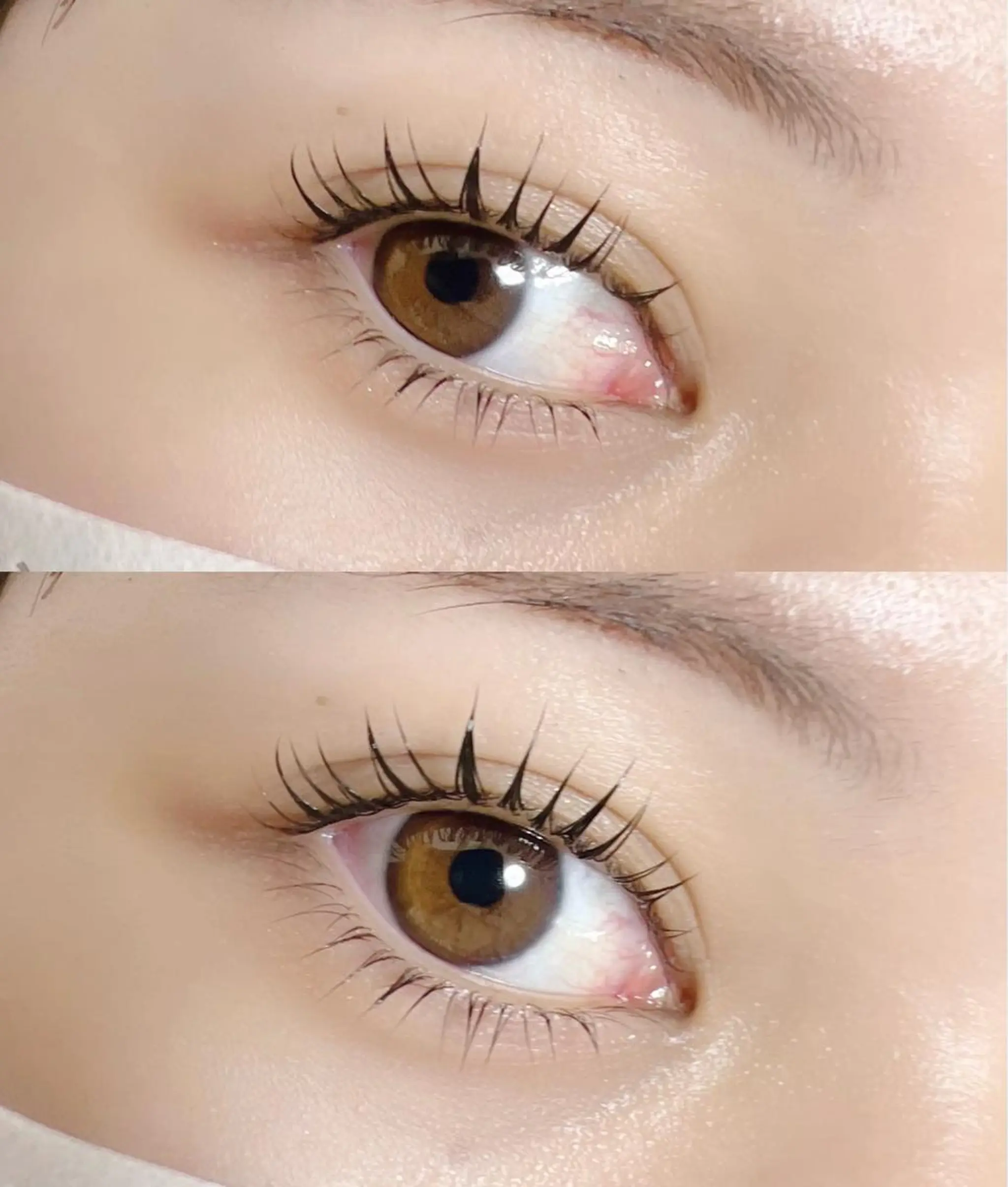 マツエク・マツパ 【那覇/束感まつ毛】 ｷｬﾒﾙのマツエク・マツパデザイン