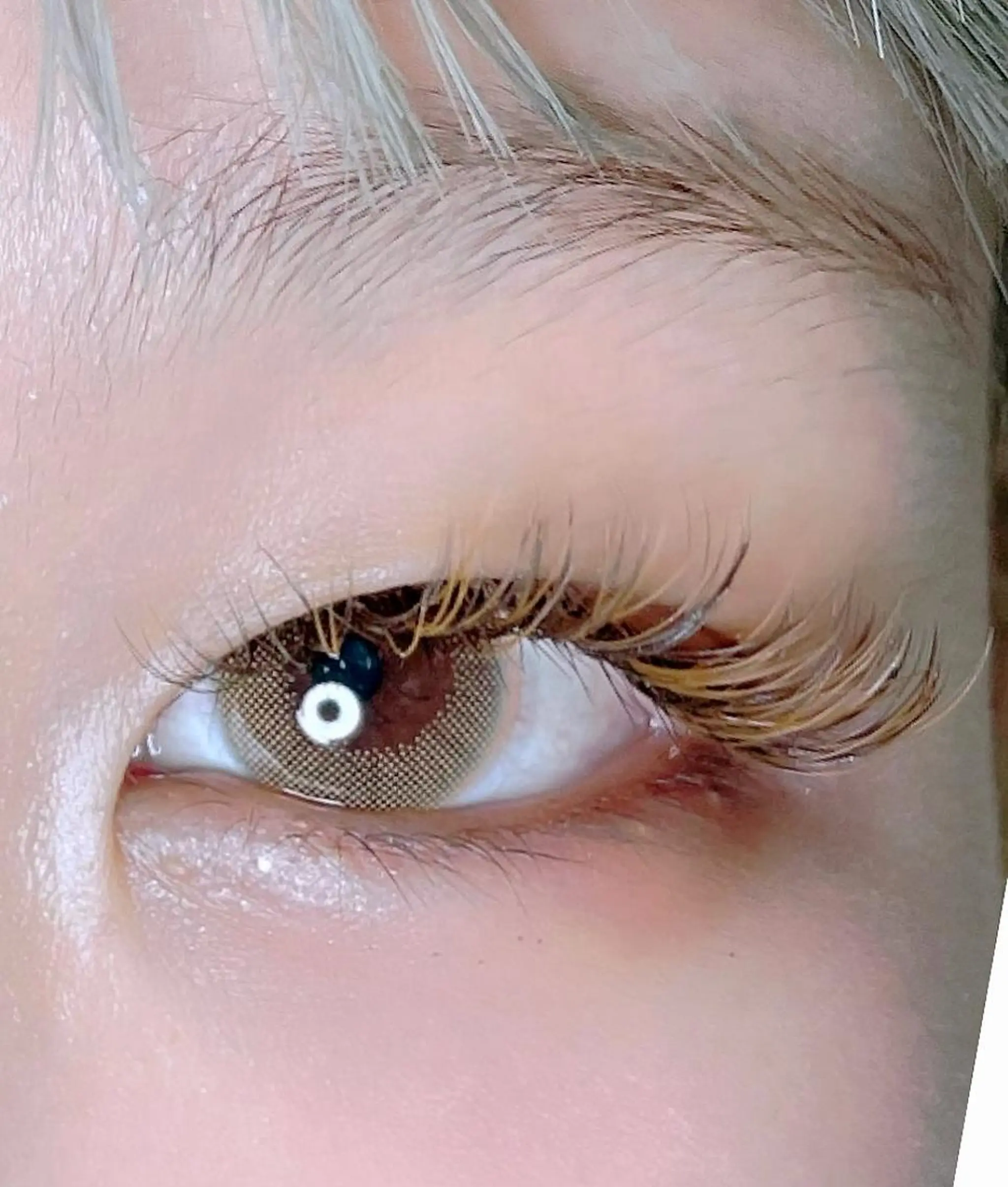 マツエク・マツパ バインドロック カラーマツエク Dカール 目尻長め ボリュームラッシュ any🏝 エニーのマツエク・マツパデザイン