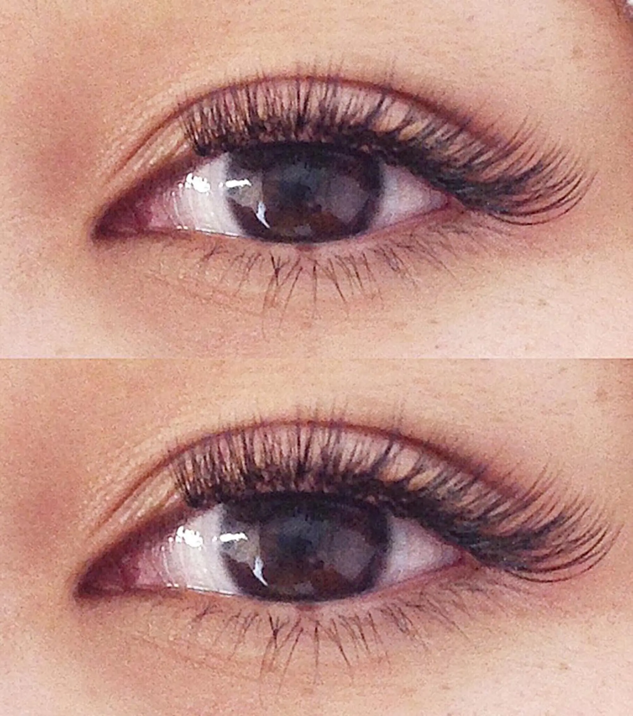 マツエク・マツパ まつえく屋さん 【M A L O】のマツエク・マツパデザイン