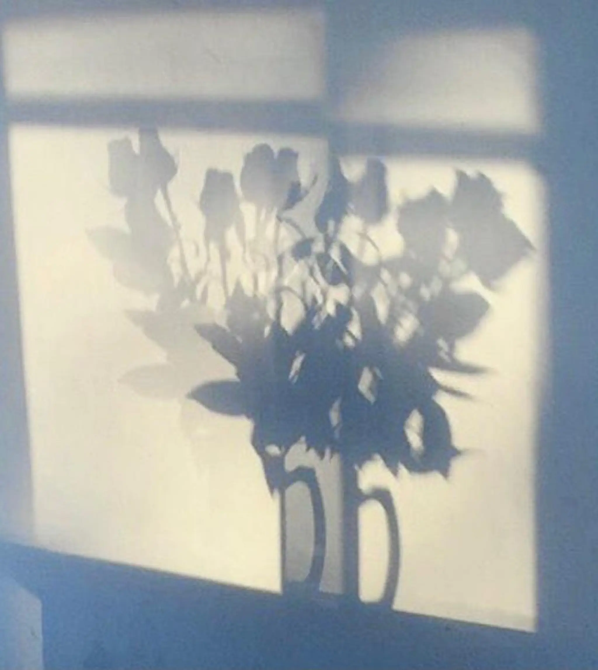 Moon(ムーン)所属・moon 梶本のマツエク・マツパデザイン